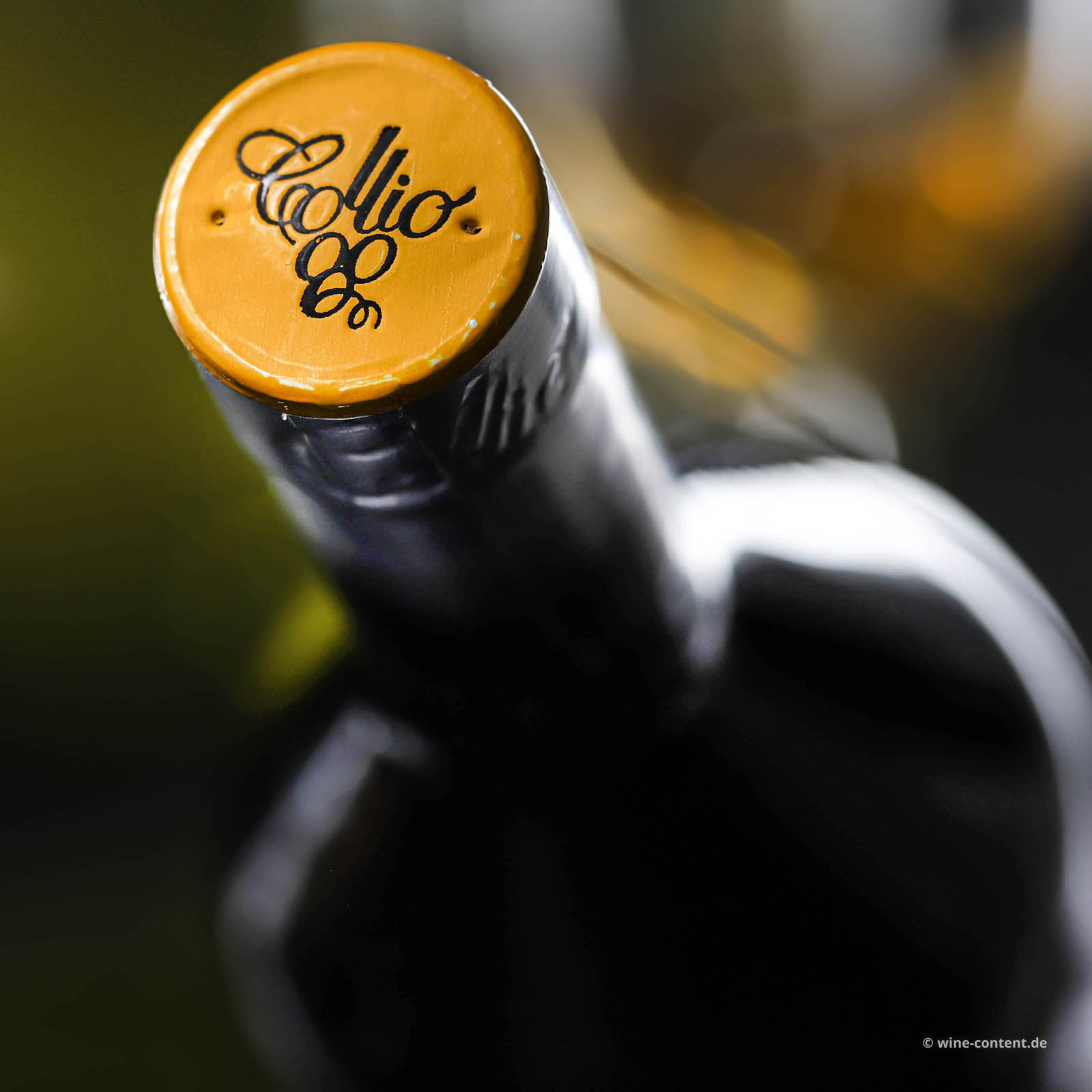 Sauvignon Blanc 2024 Collio