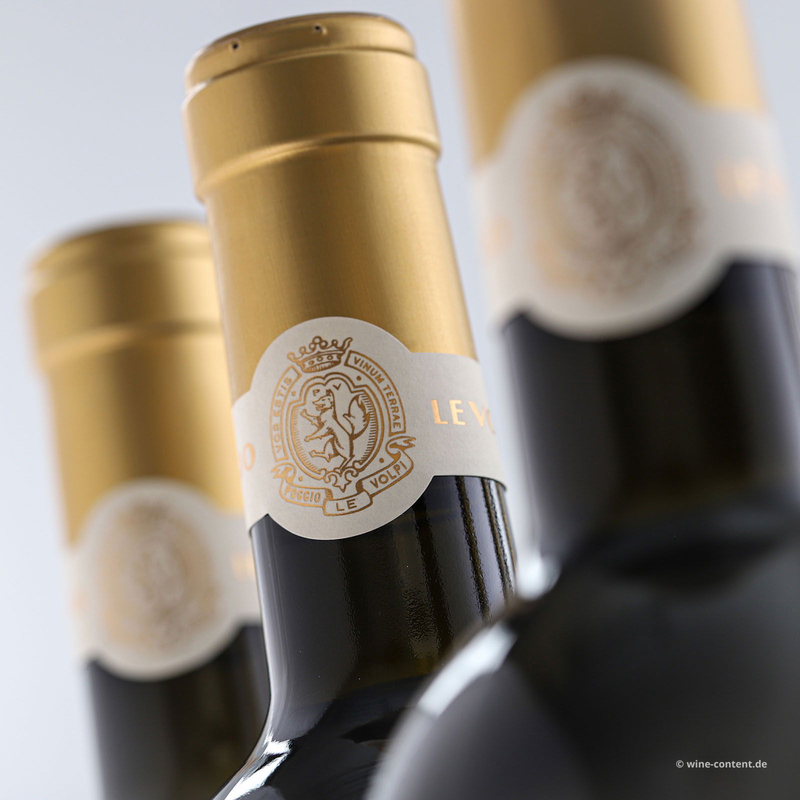 6er-Sparpaket Donnaluce 2024