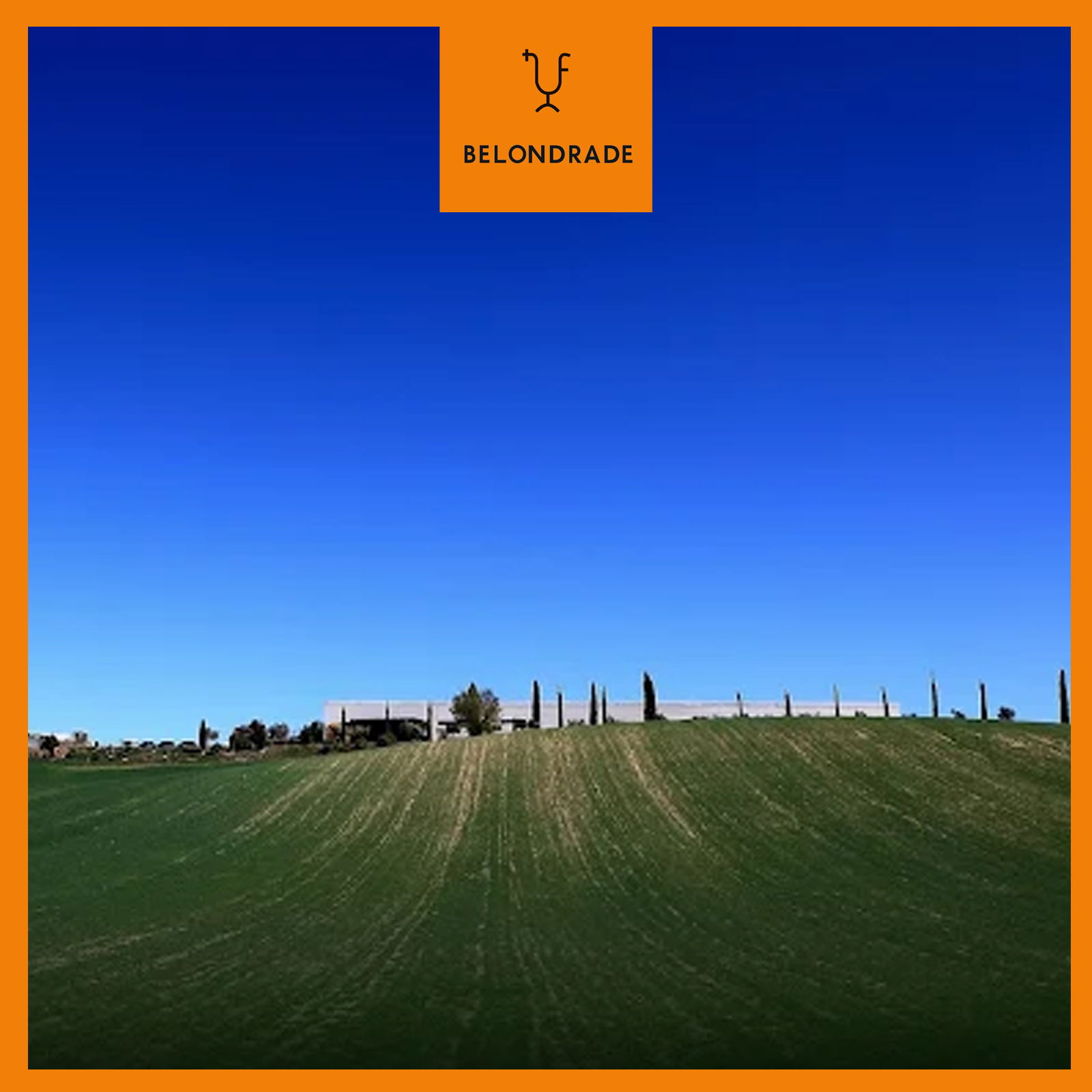 6er-Sparpaket Verdejo 2023 Belondrade y Lurton Bio