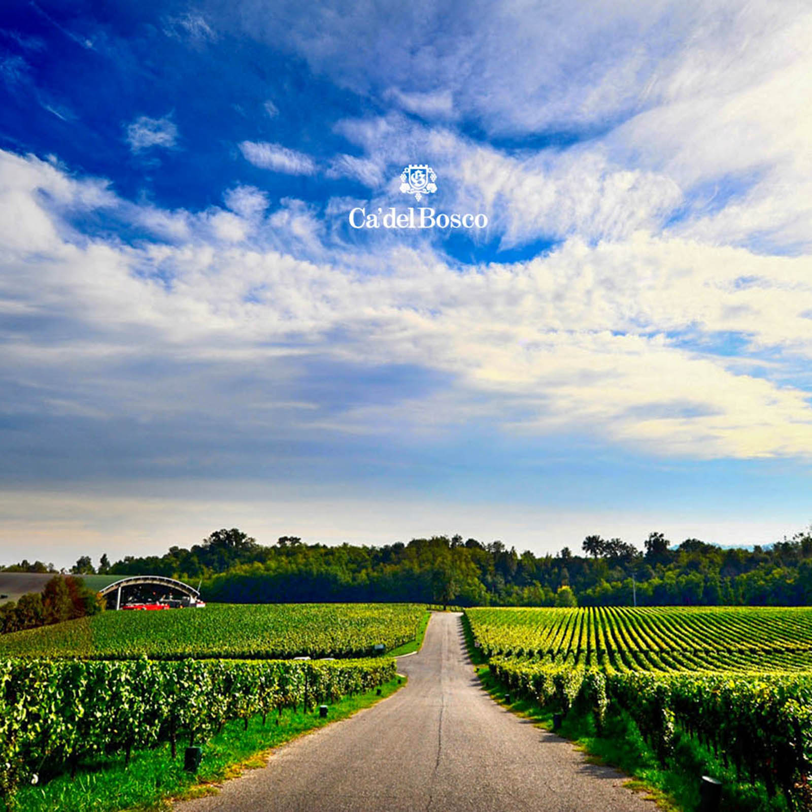 Franciacorta Cuvée Prestige Edizione 47 Extra Brut