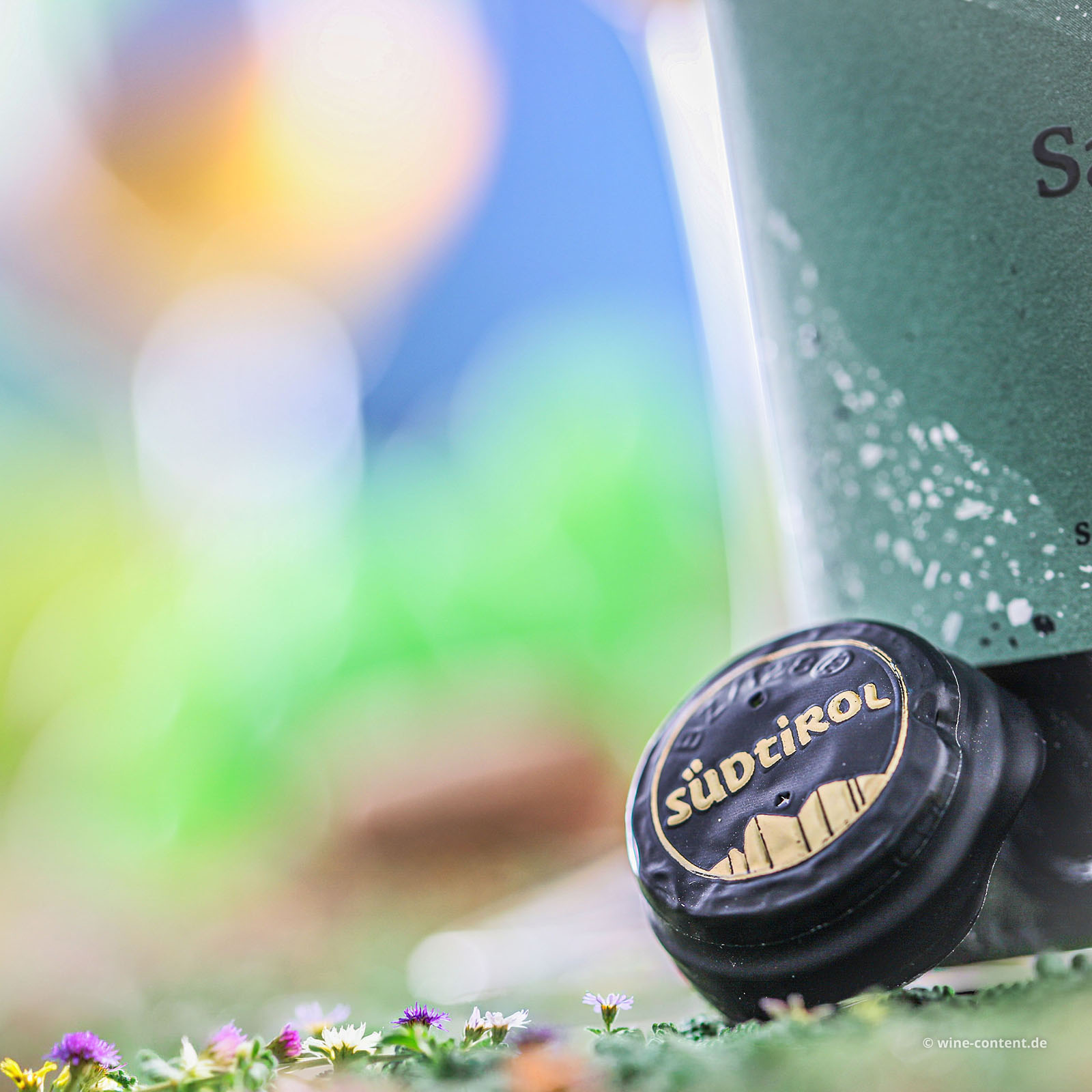 Sauvignon Blanc 2025