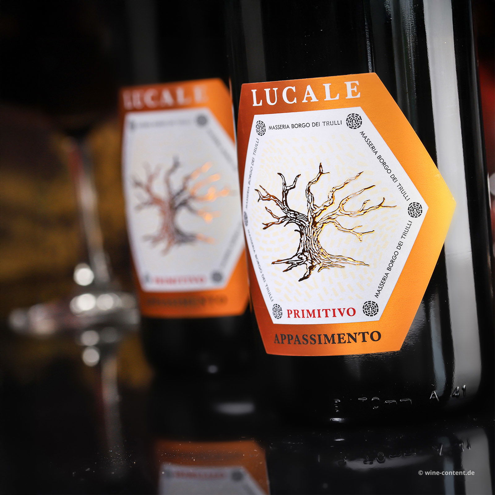 Primitivo Appassimento 2023 Lucale Primitivo Appassimento 2023 Lucale