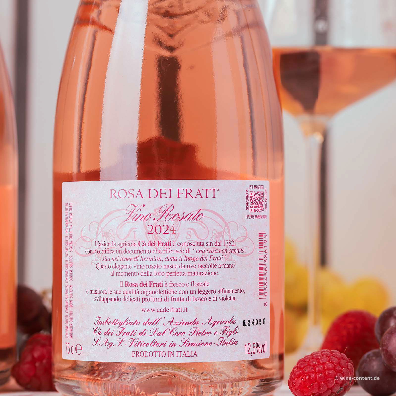 Rosa dei Frati 2024