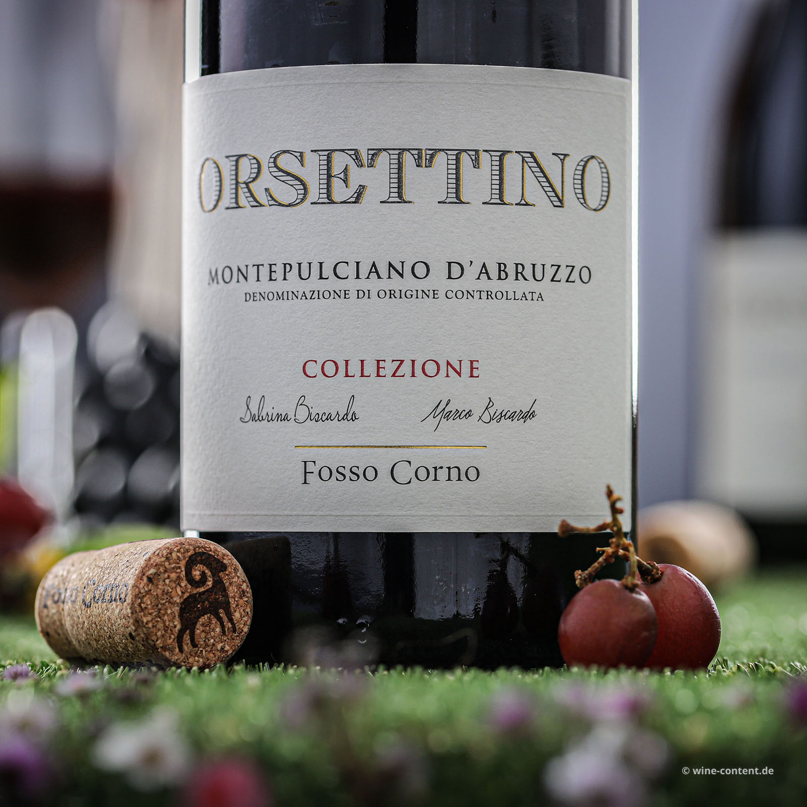 Montepulciano d´Abruzzo 2023 Orsettino