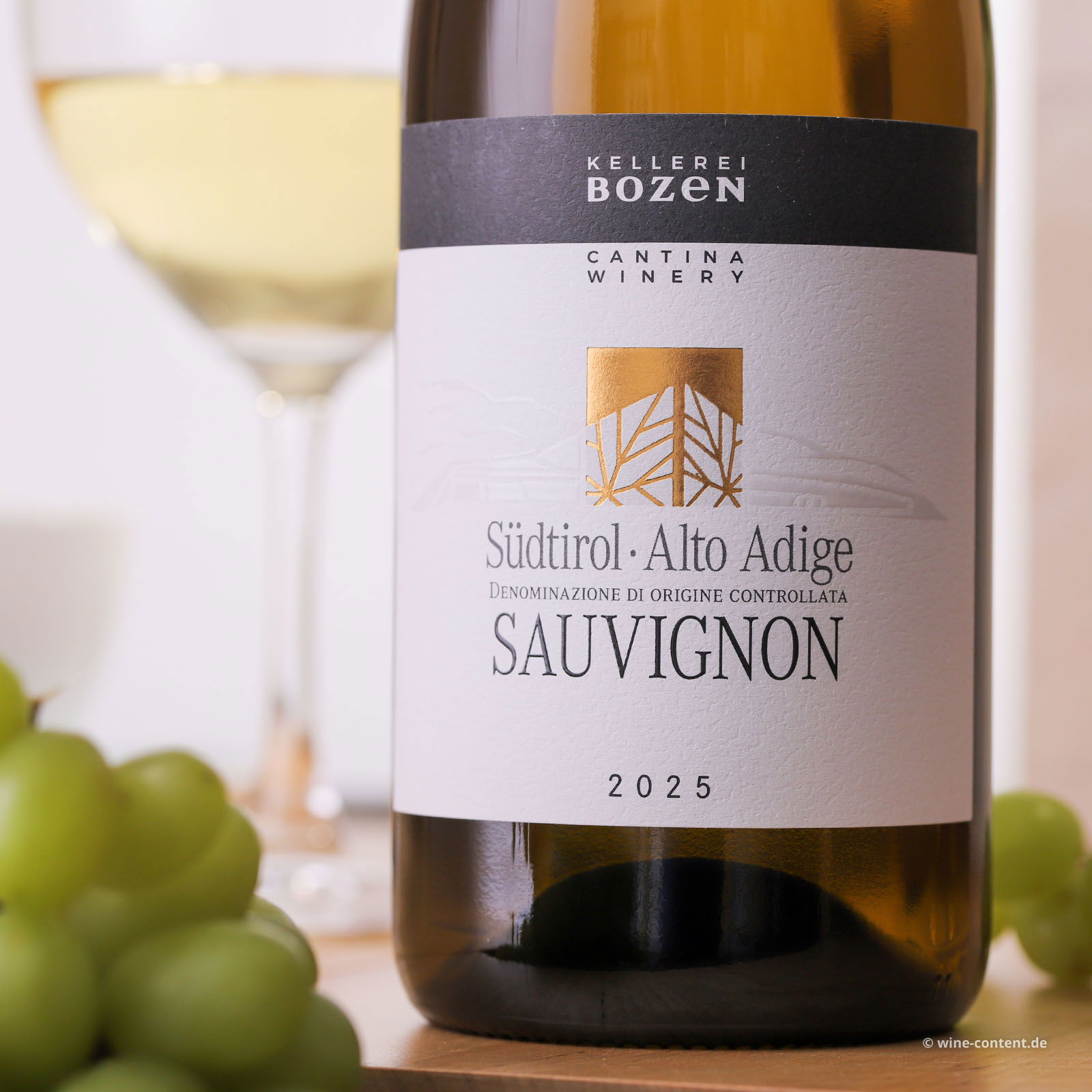 Sauvignon 2025