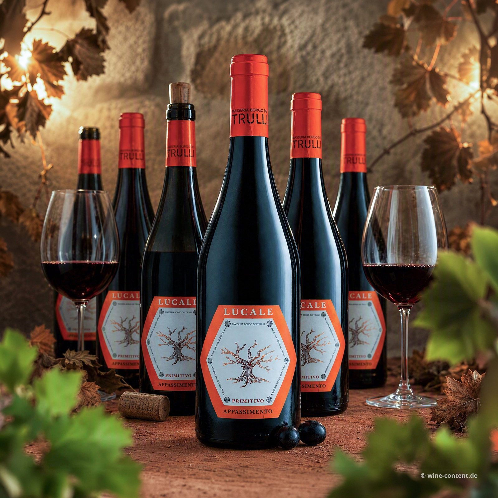 6er-Sparpaket Primitivo Appassimento 2025 Lucale