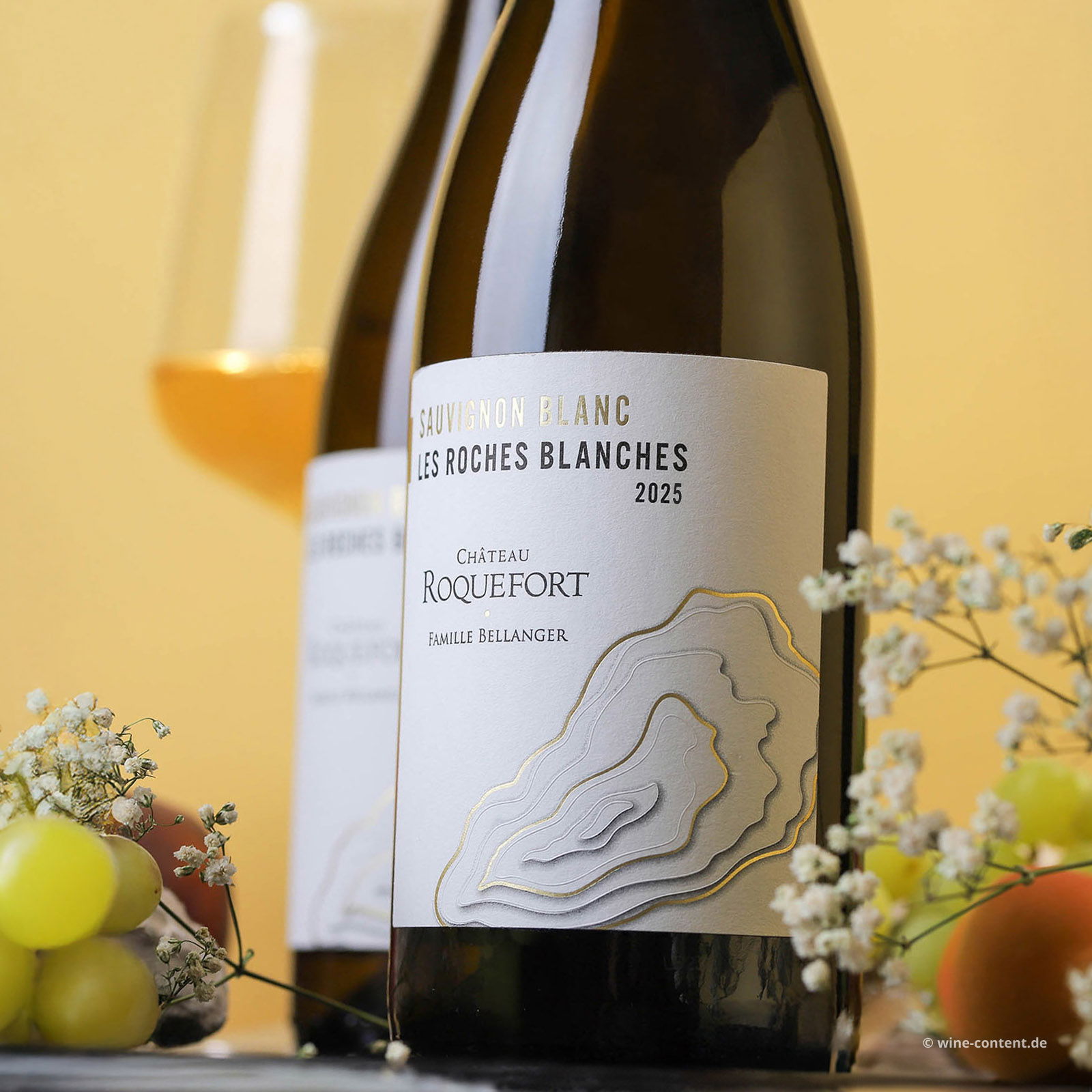 Sauvignon Blanc 2025 Les Roches Blanches Bio