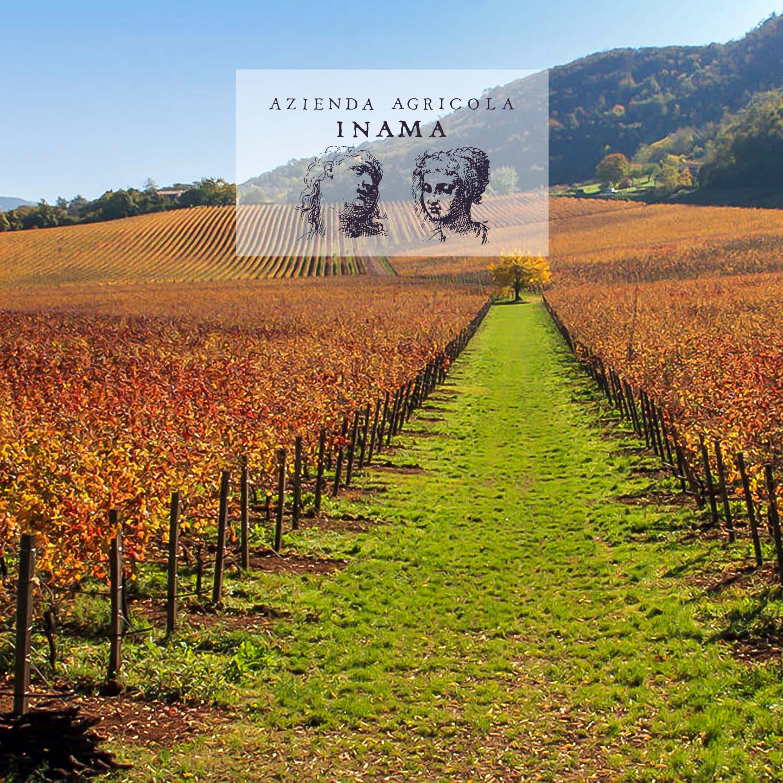 Carmenere Riserva 2020 Oratorio di San Lorenzo