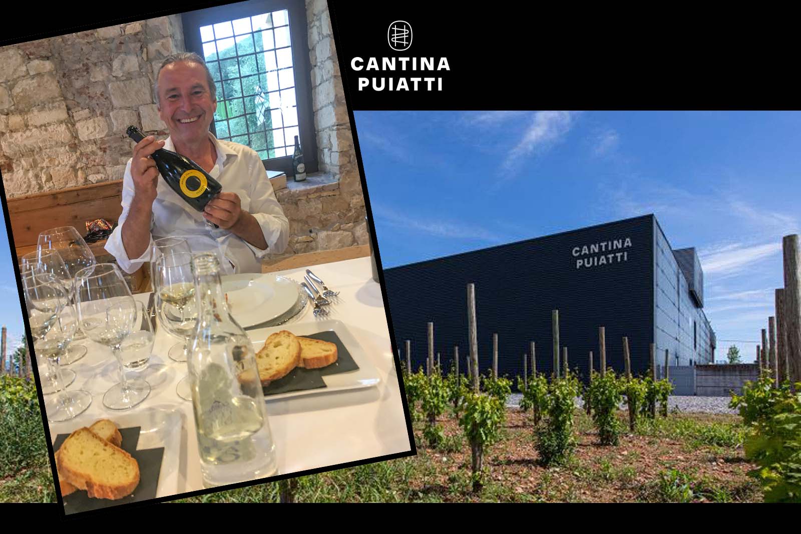 Sauvignon Blanc 2025