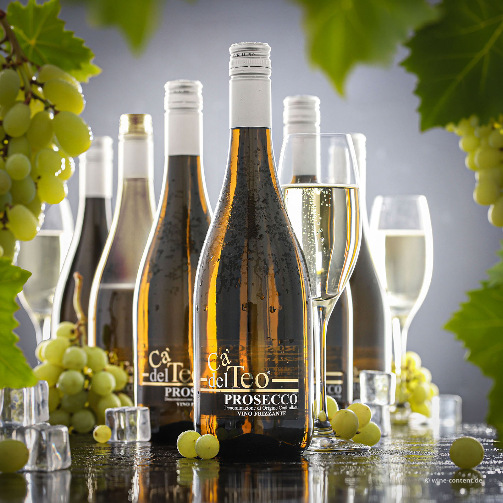 6er-Sparpaket Prosecco Frizzante