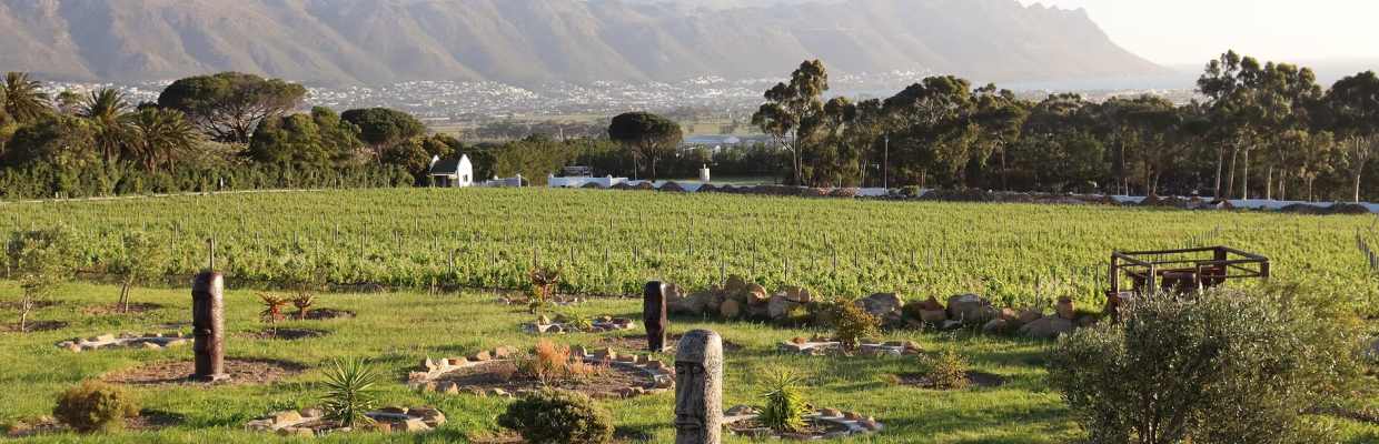 Capelands Wine Estate