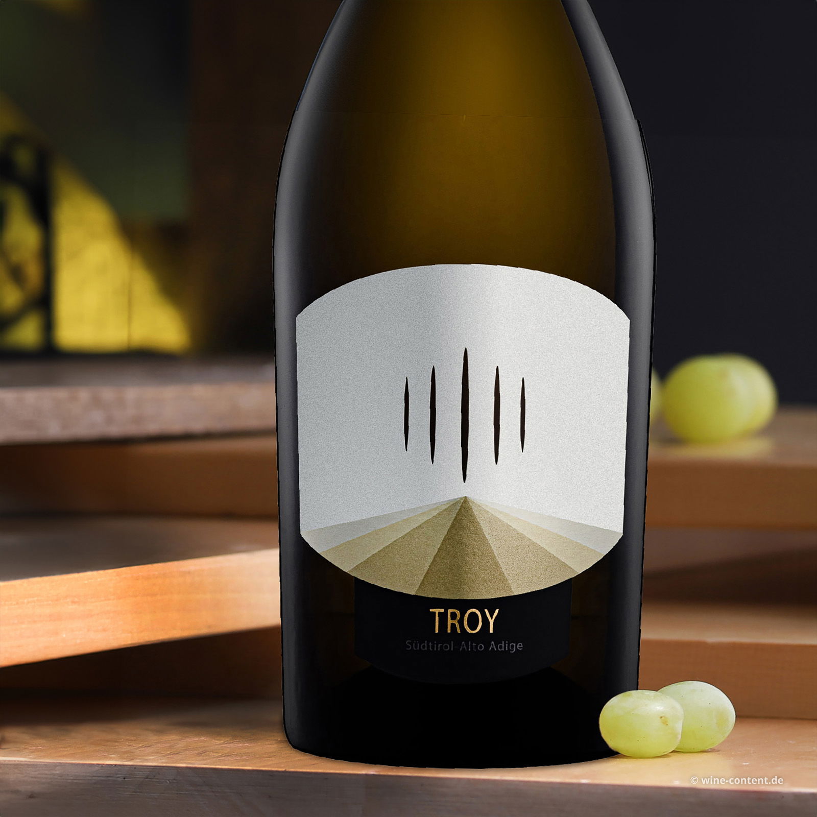 Chardonnay Riserva 2022 Troy Chardonnay Riserva 2022 Troy