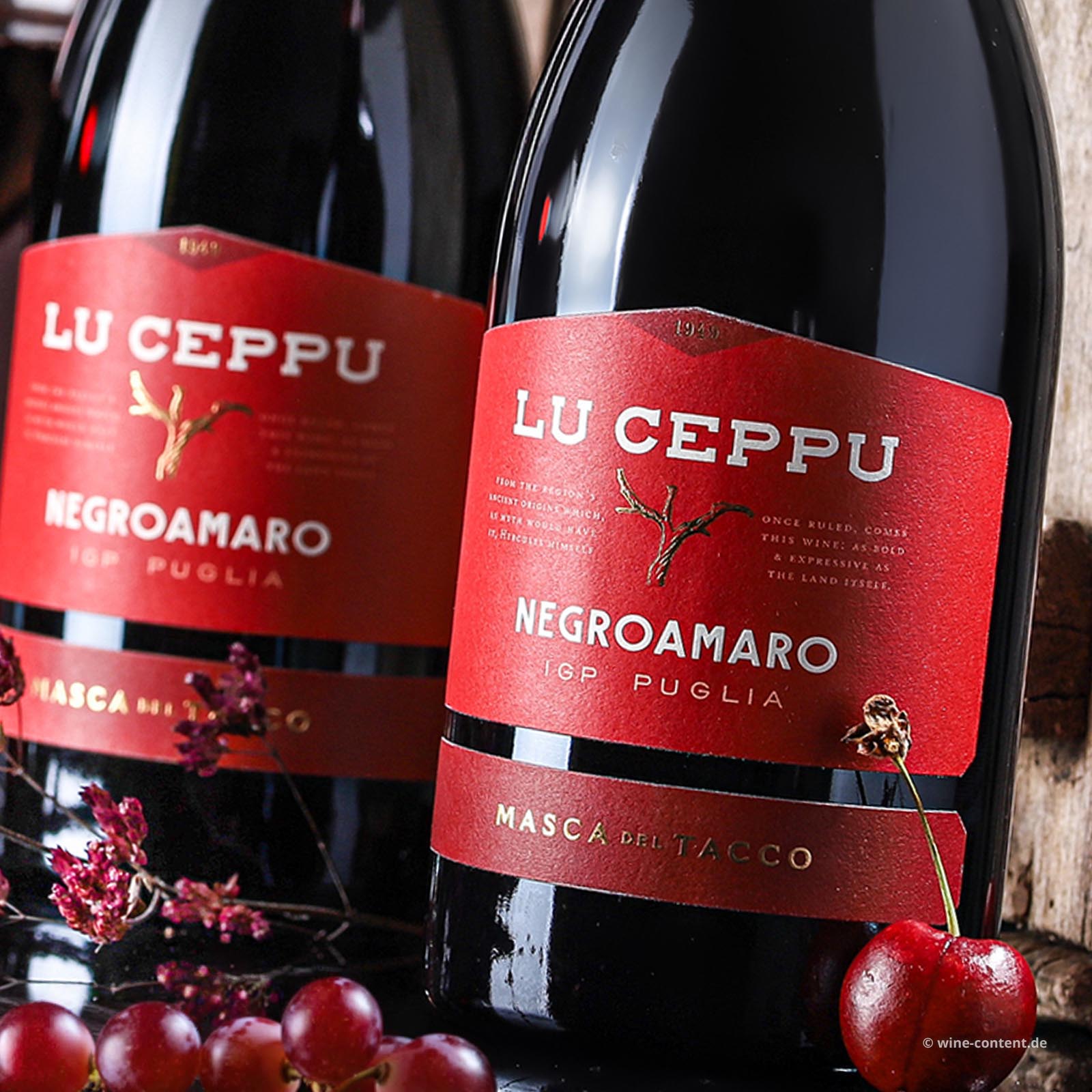 Negroamaro 2025 Lu Ceppu