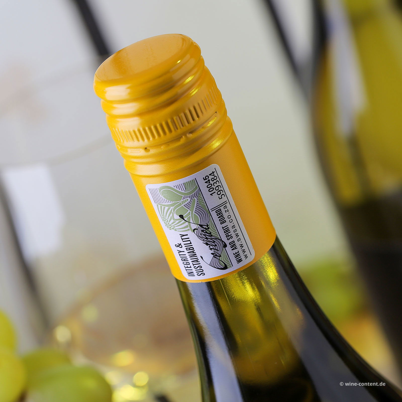 Chenin Blanc 2024 The Guarded Valley