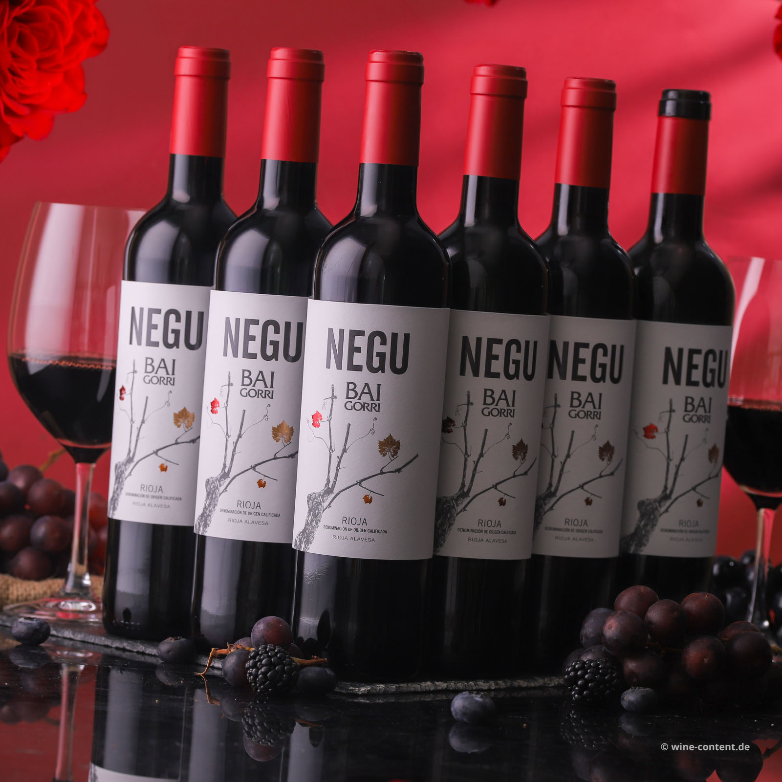 6er-Sparpaket Rioja 2025 Negu
