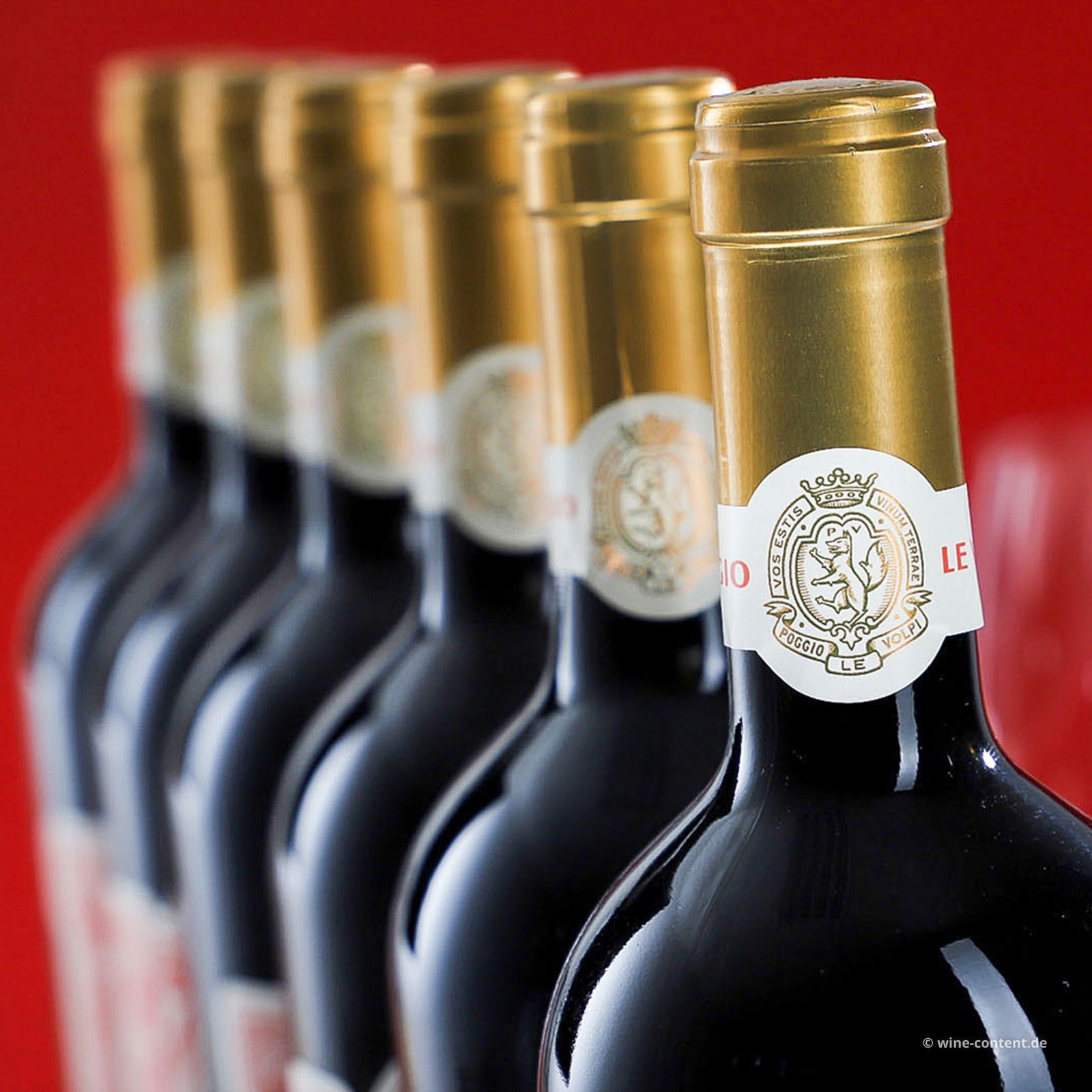 6er-Sparpaket Roma Rosso 2022