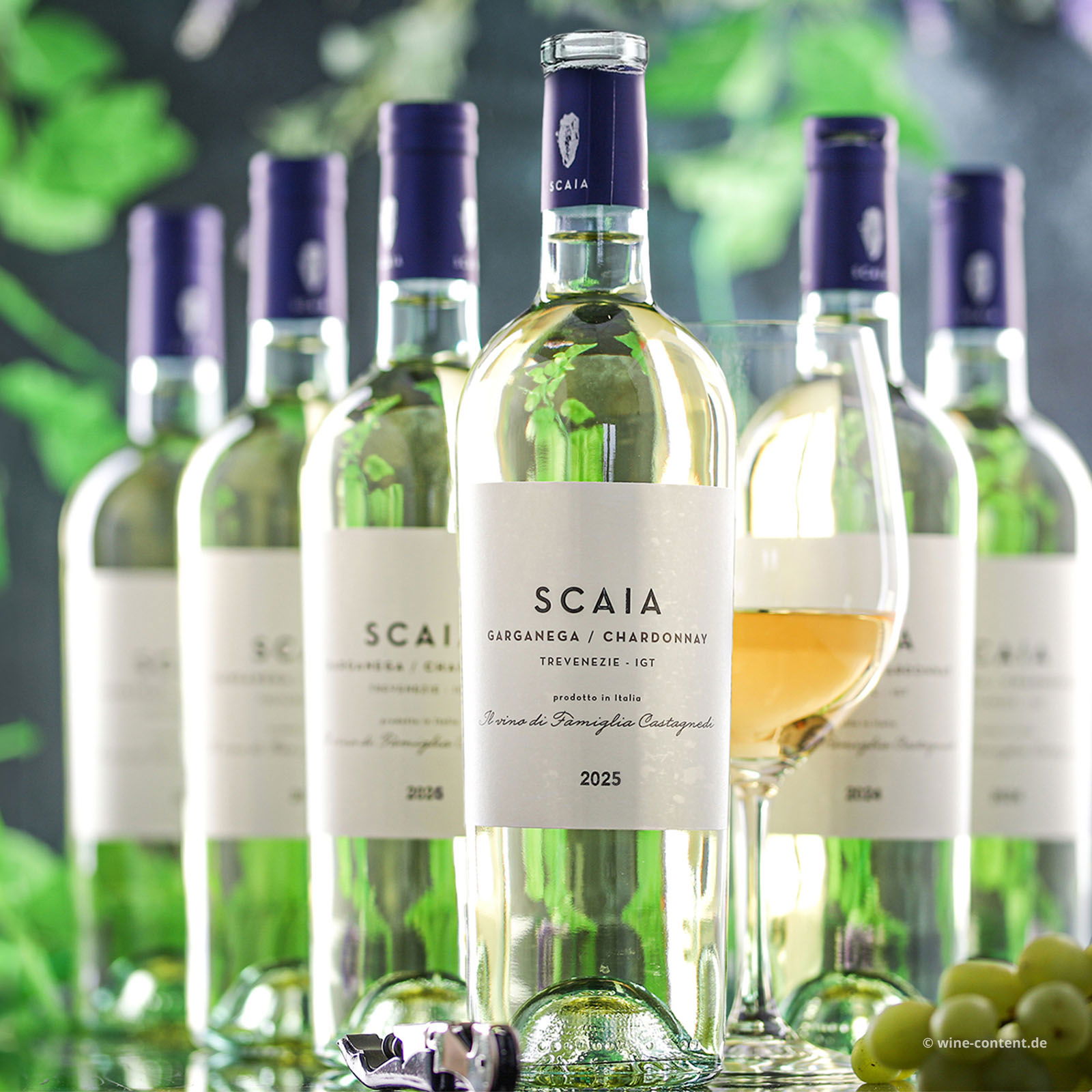 6er-Sparpaket Scaia Bianco 2025