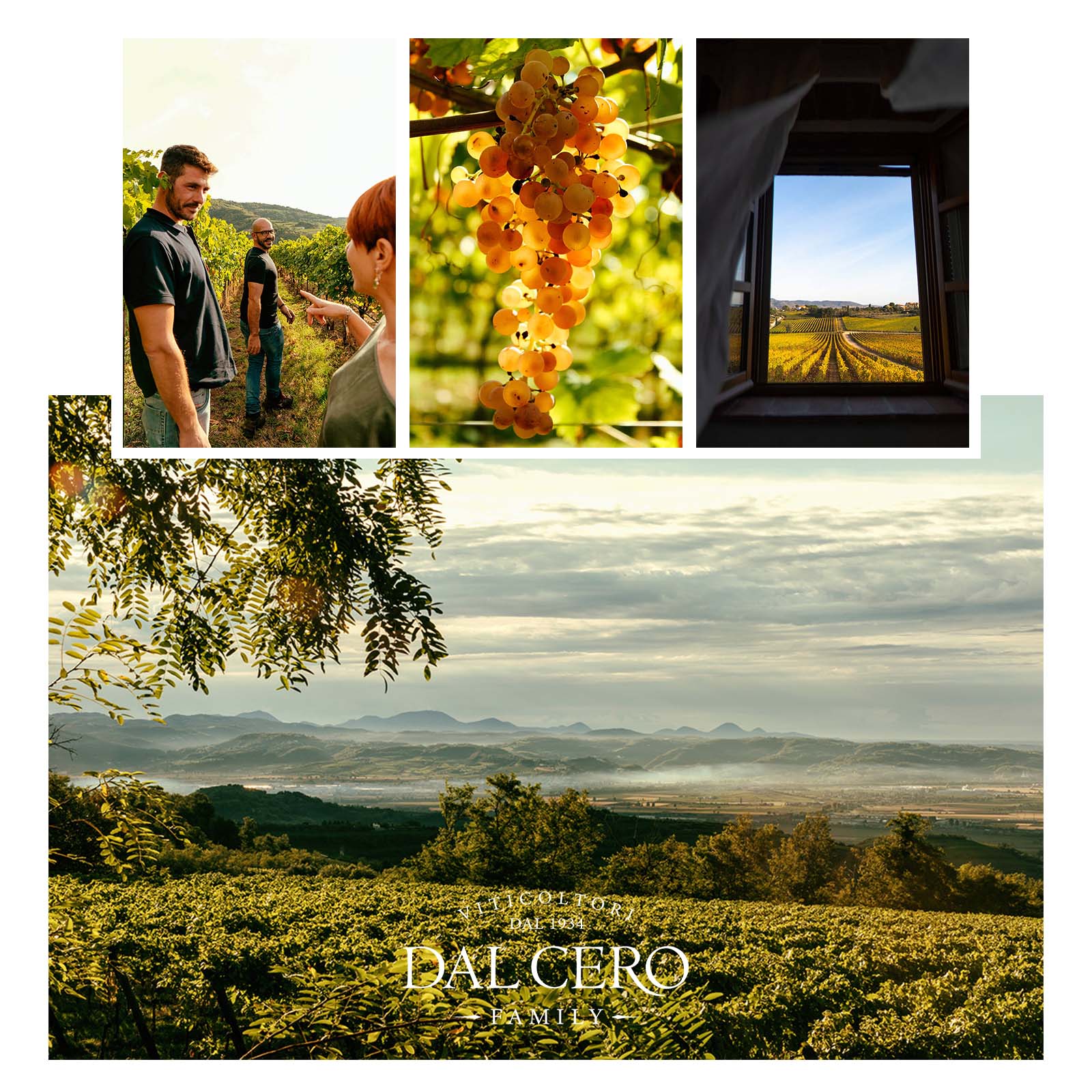Vermentino-Chardonnay 2024 Tenuta Montecchiesi