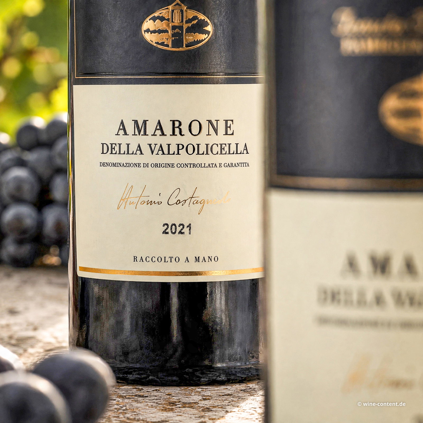 6er-Sparpaket Amarone 2021 Selezione Antonio Castagnedi