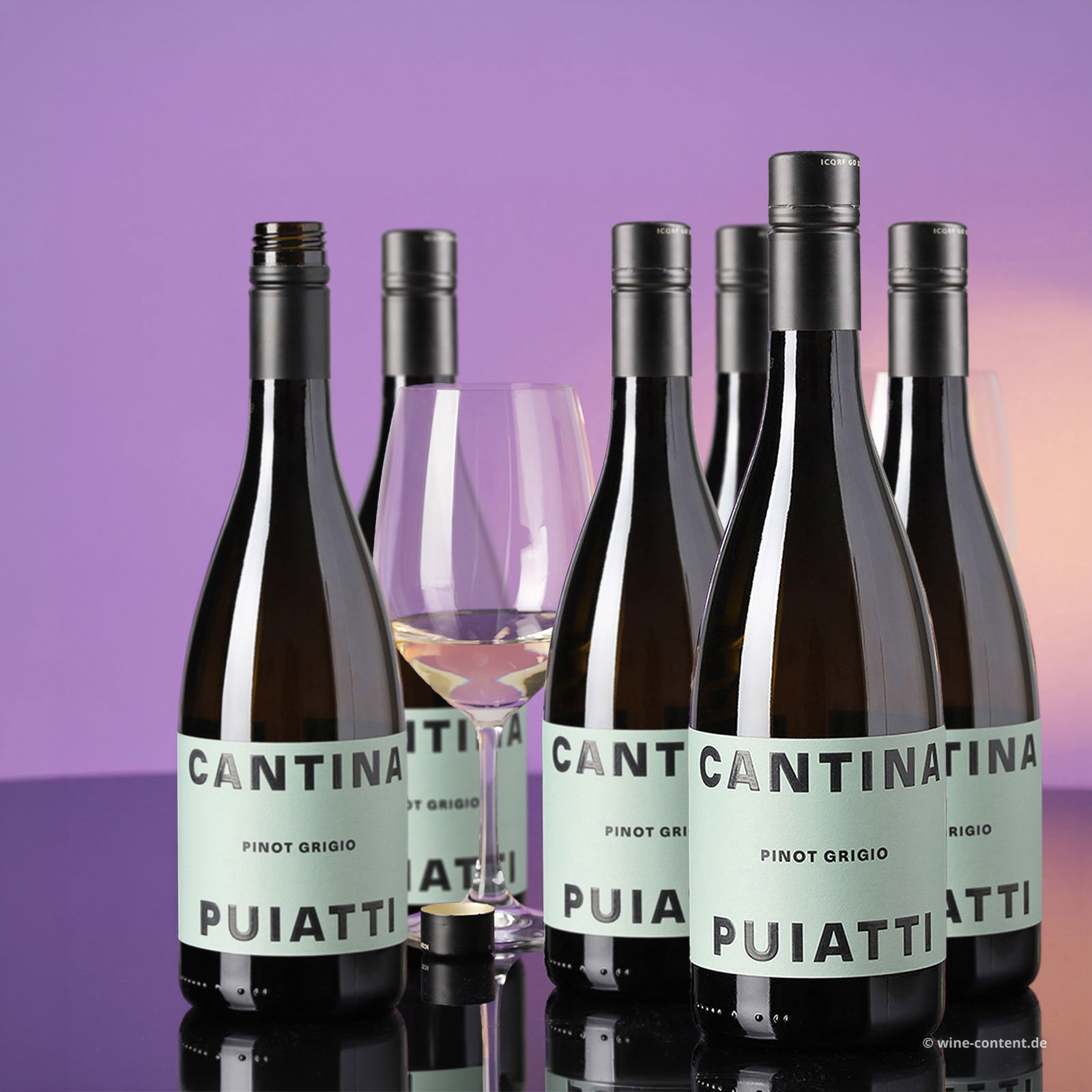 6er-Sparpaket Pinot Grigio 2025