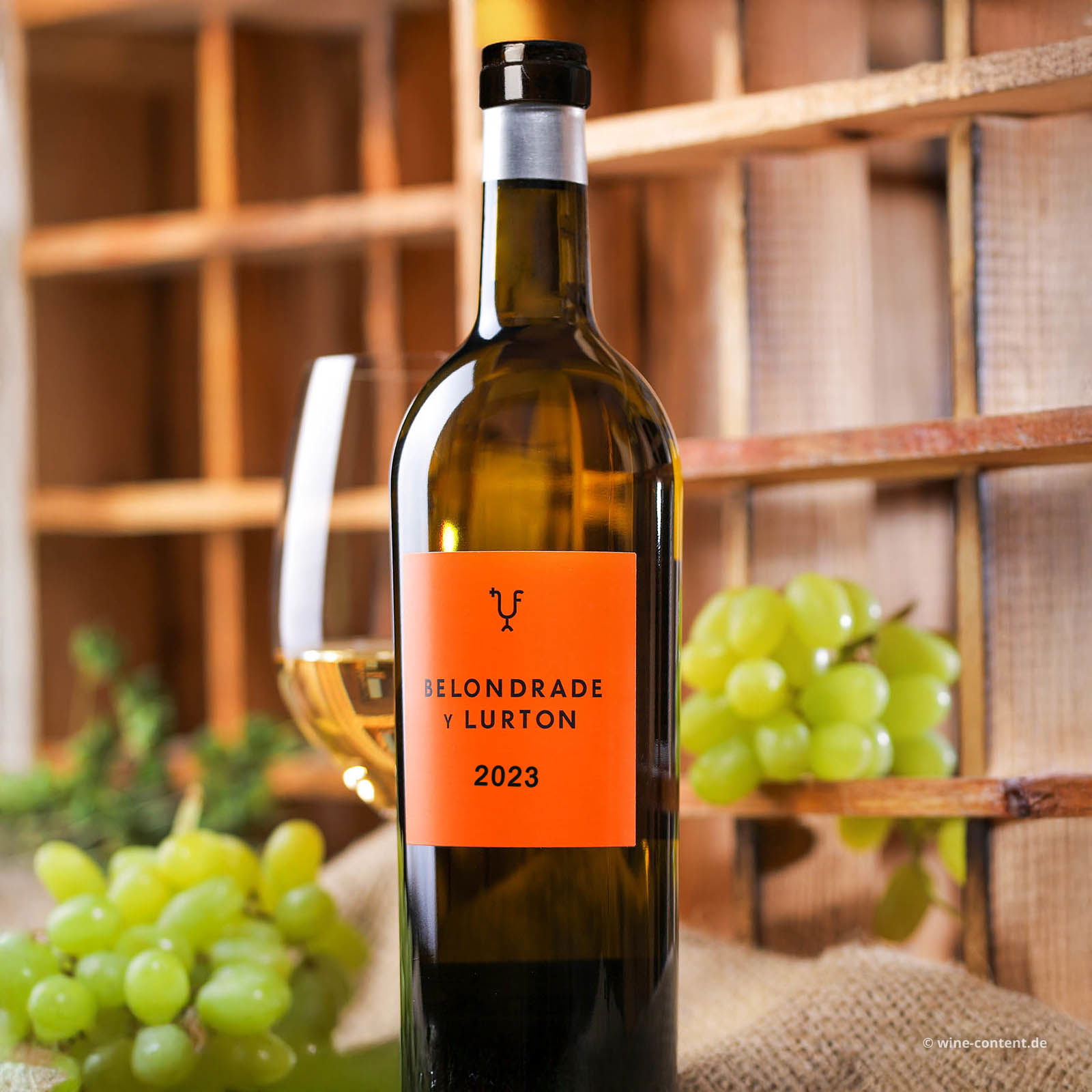 Verdejo 2023 Belondrade y Lurton Bio