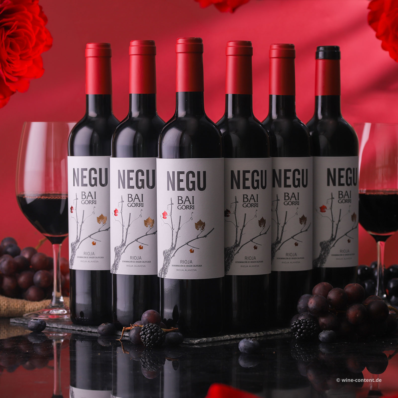 6er-Sparpaket Rioja 2025 Negu
