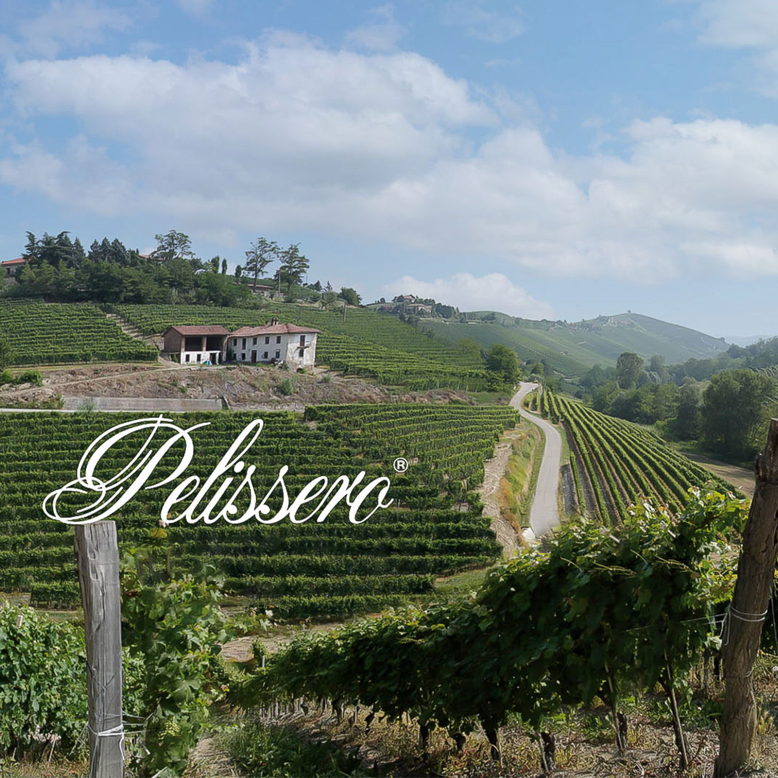 Barbaresco 2016 Tulin
