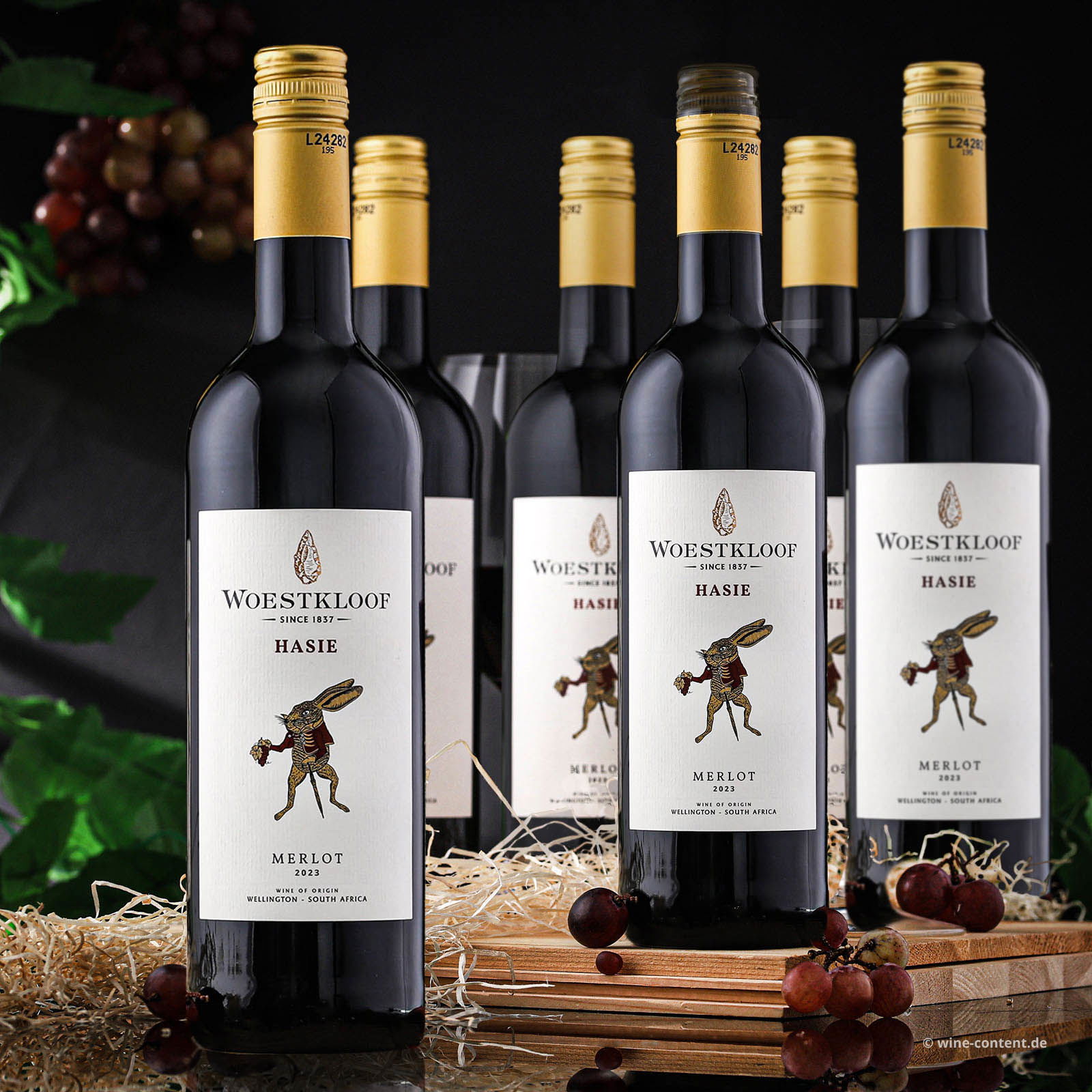 5+1 Sparpaket Merlot 2023 Hasie