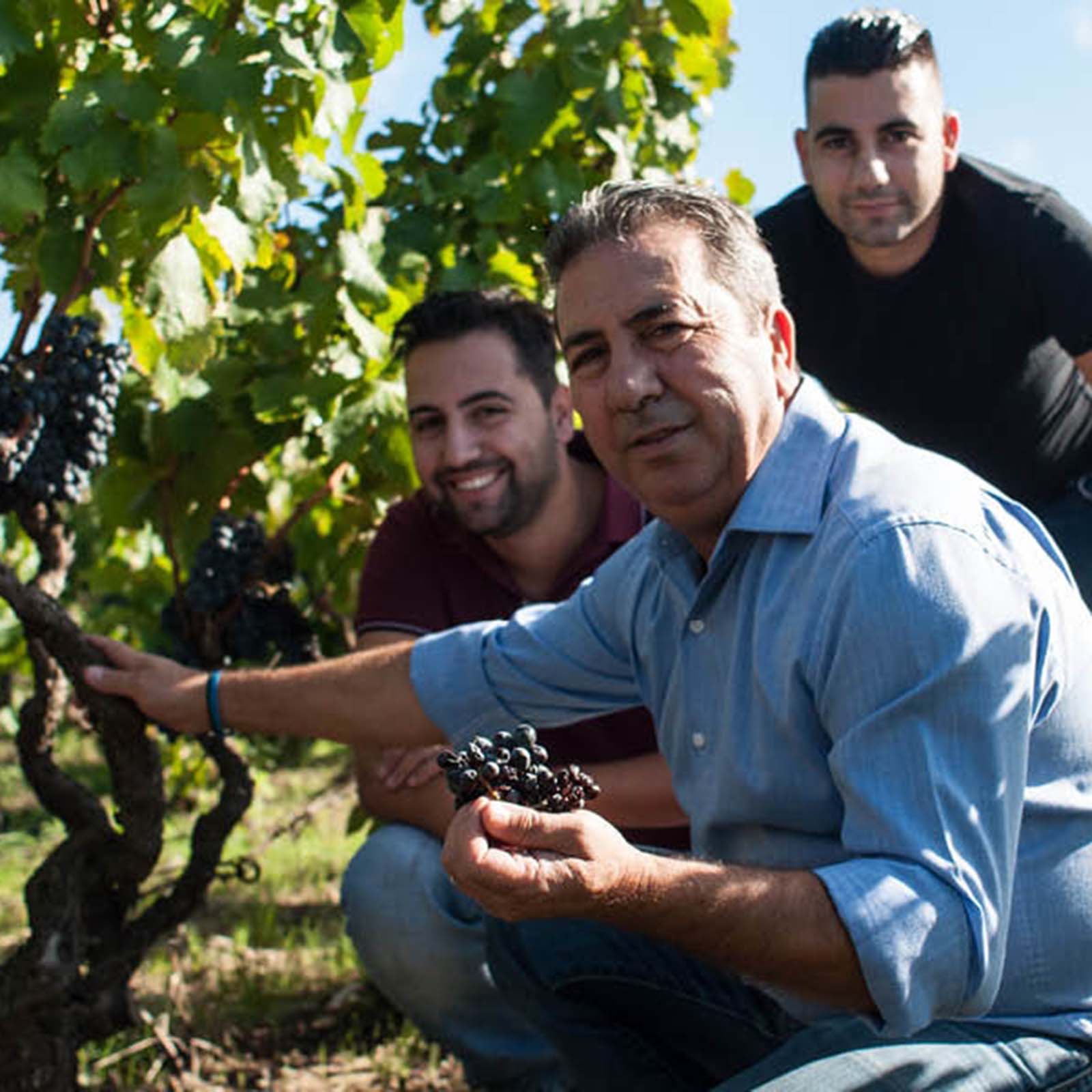 Primitivo di Manduria 2024 Passo del Cardinale