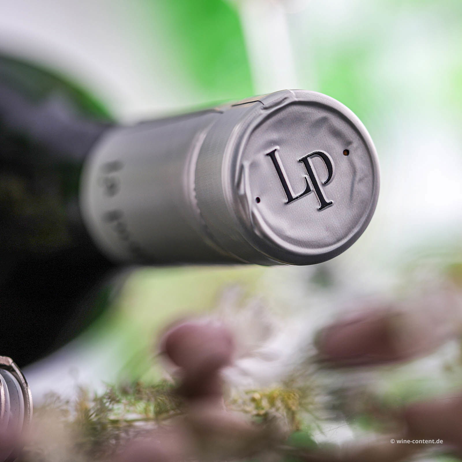 Chardonnay Collio 2022 Bio