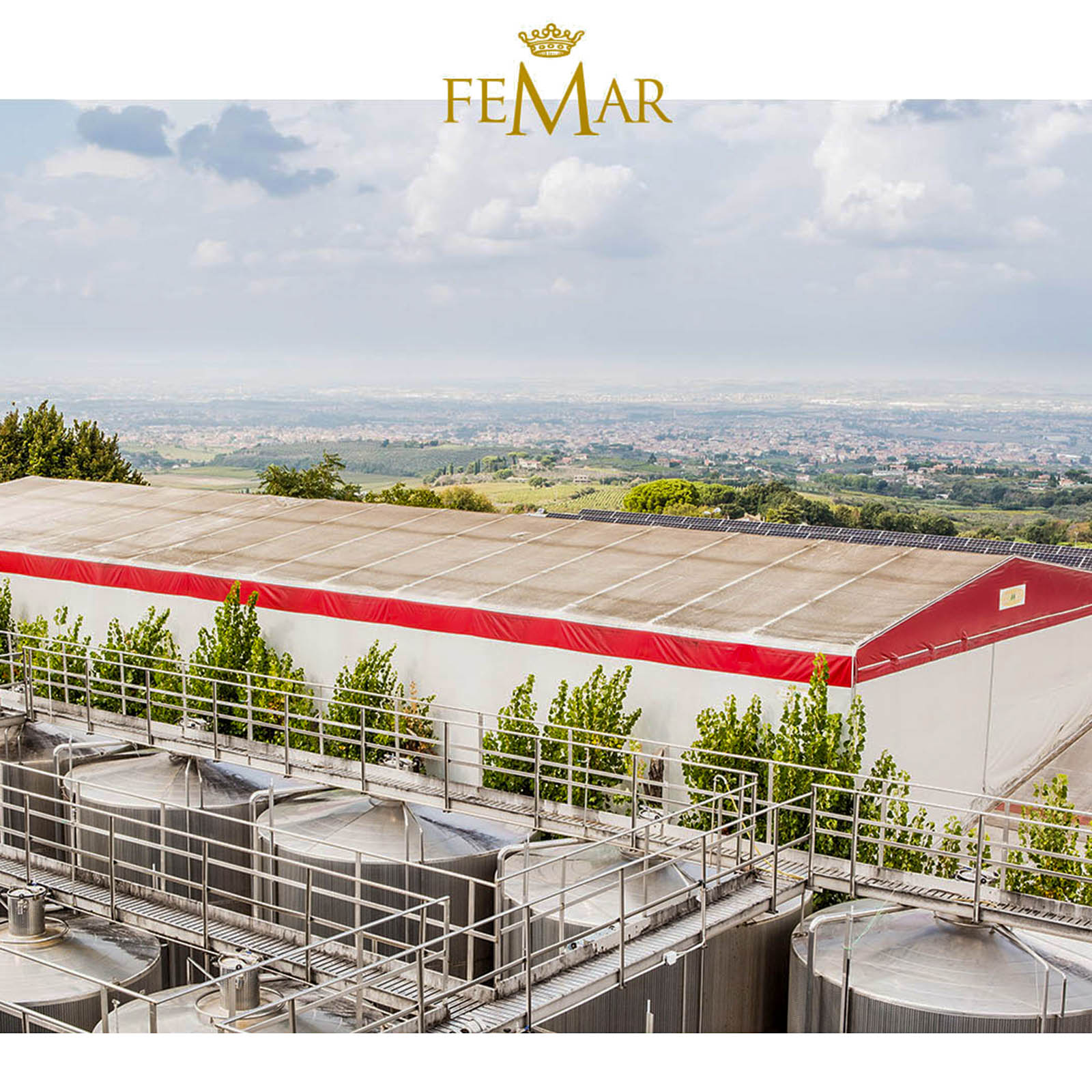 6er-Sparpaket Primitivo 2025 Gran Appasso Collezione