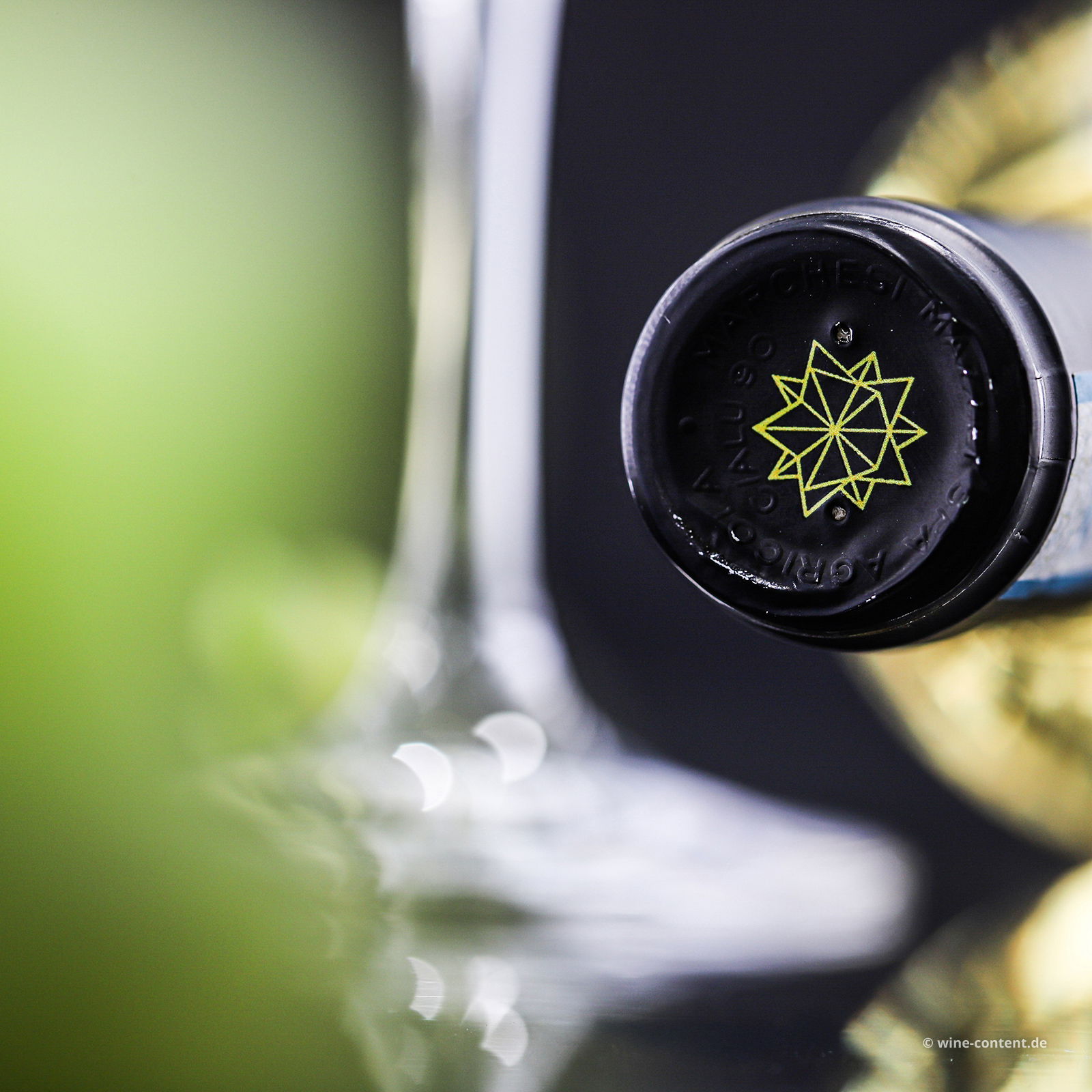Vermentino Maremma Toscana 2024 Belguardo