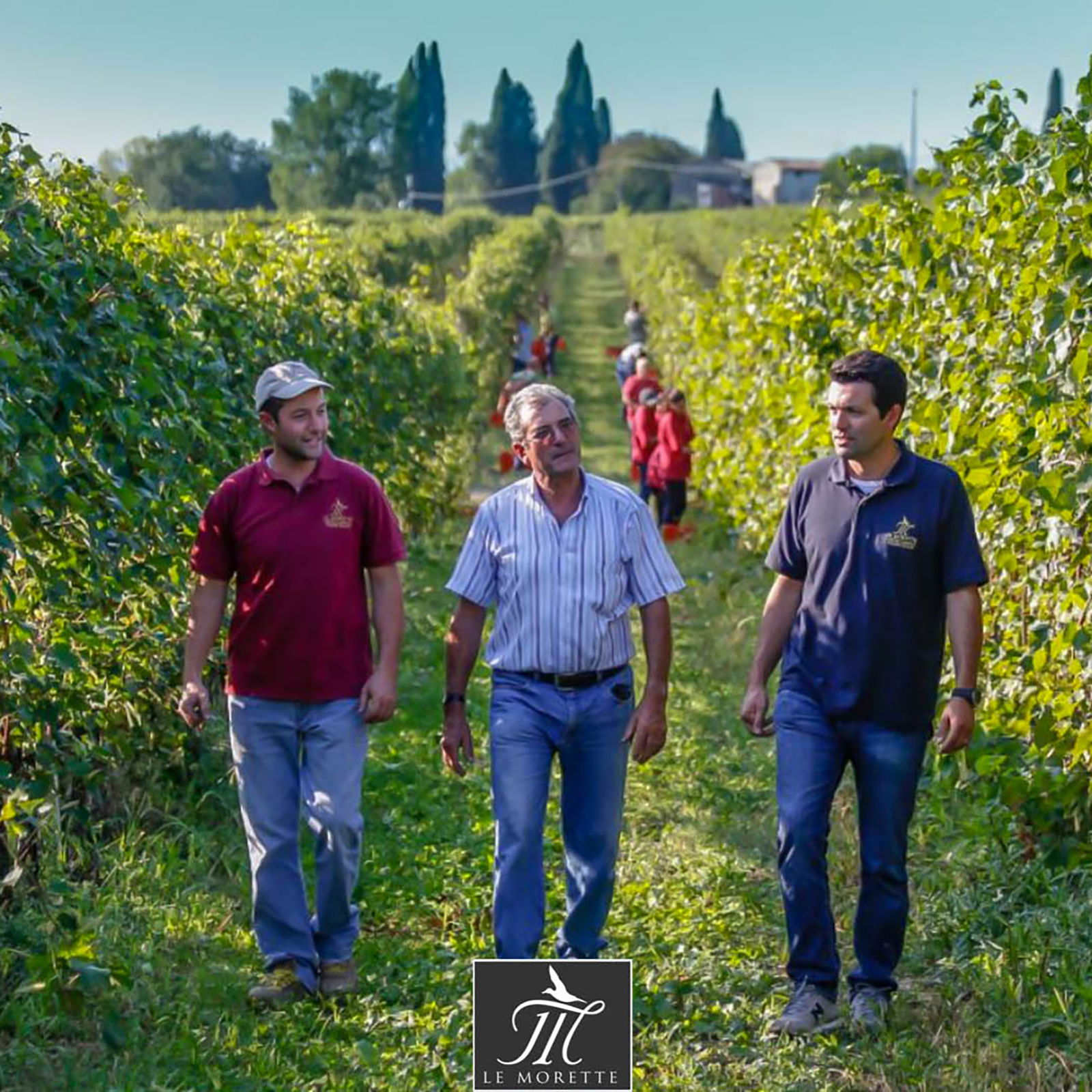 6er-Sparpaket Chiaretto di Bardolino Classico 2024