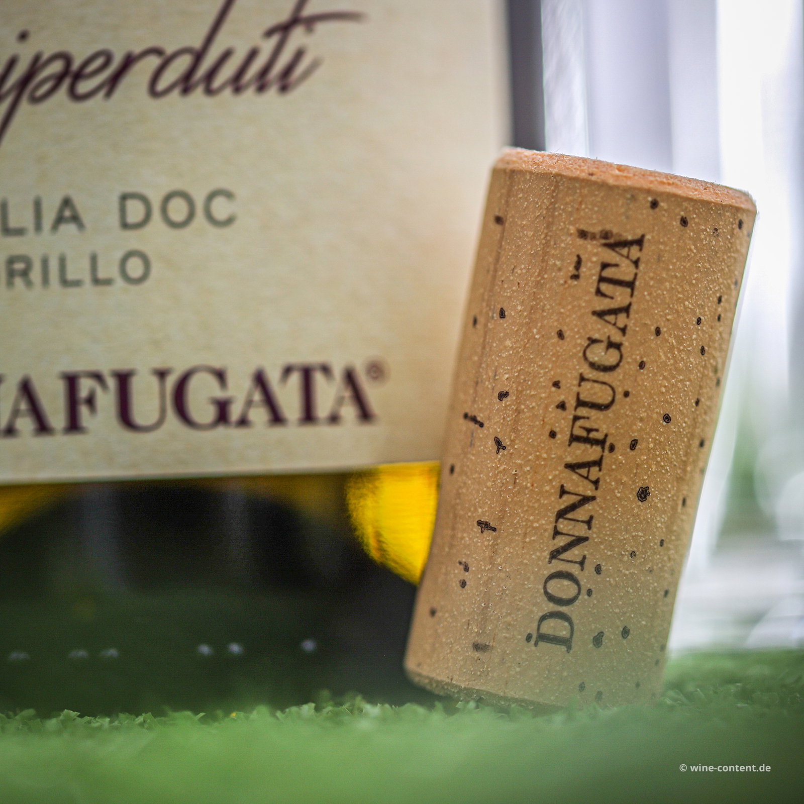 Grillo Sicilia 2025 Passiperduti