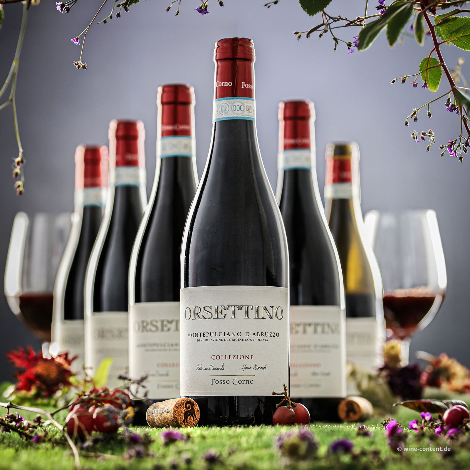 6er-Sparpaket Montepulciano d´Abruzzo 2023 Orsettino