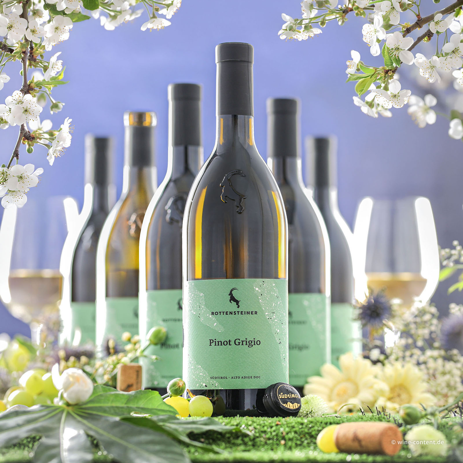 6er-Sparpaket Pinot Grigio 2025