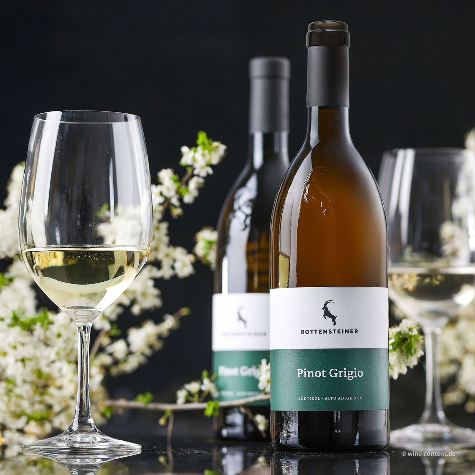  Pinot Grigio 2024