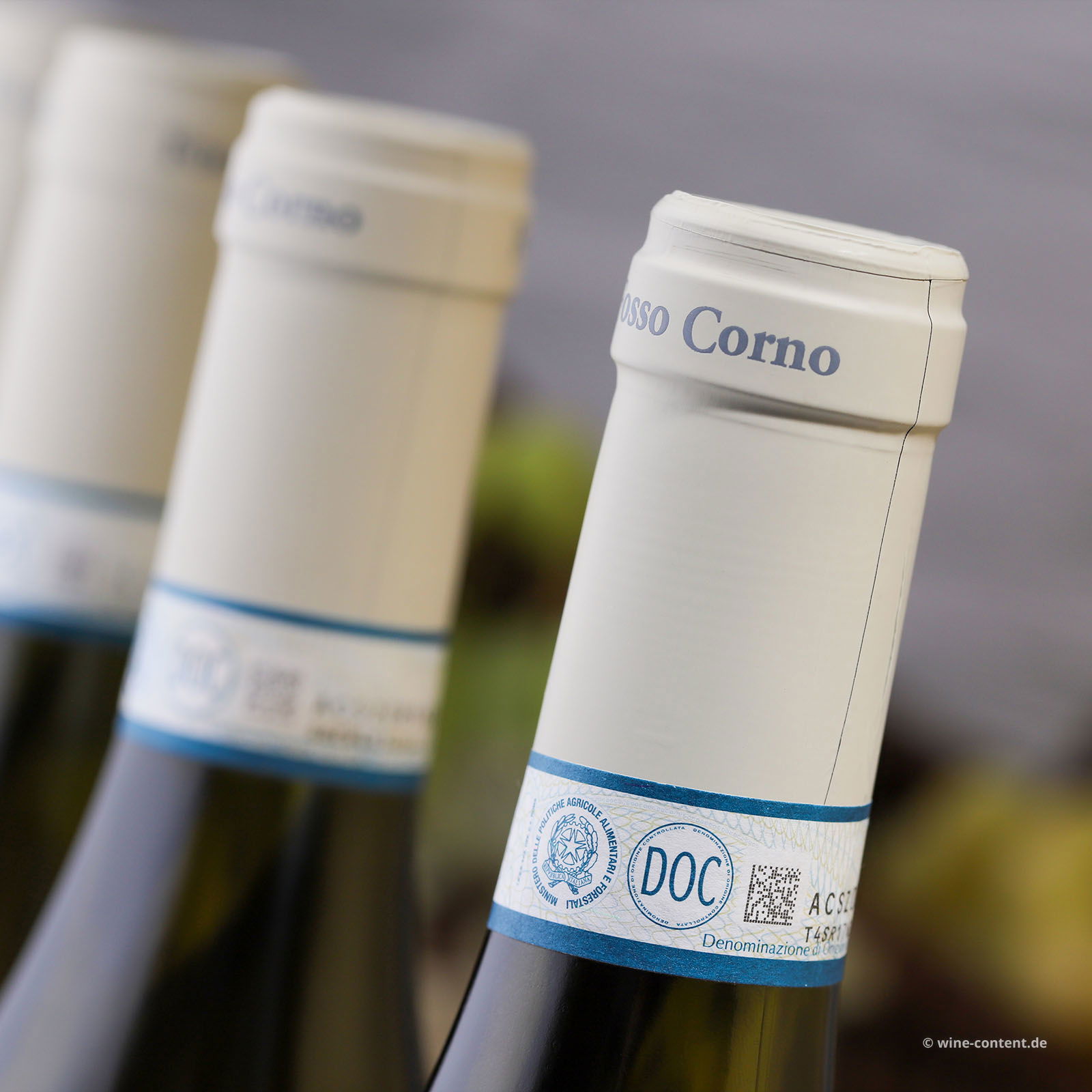 6er-Sparpaket Pecorino Abruzzo 2024 Orsus