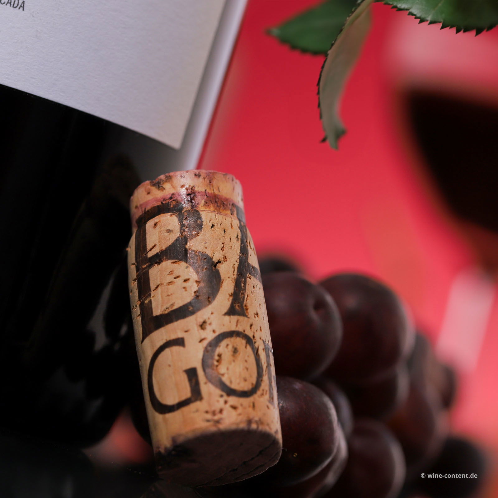 Rioja 2023 Negu