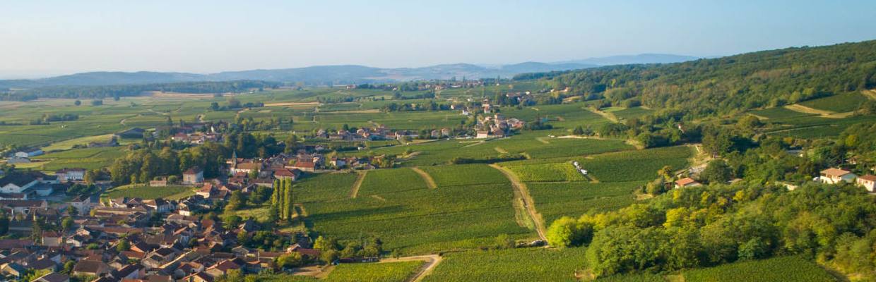 Compagnie de Burgondie