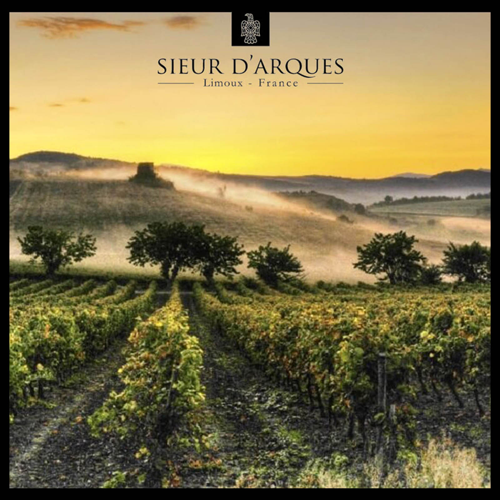 9er-Sparpaket Crémant de Limoux Grande Cuvée 1531 Brut