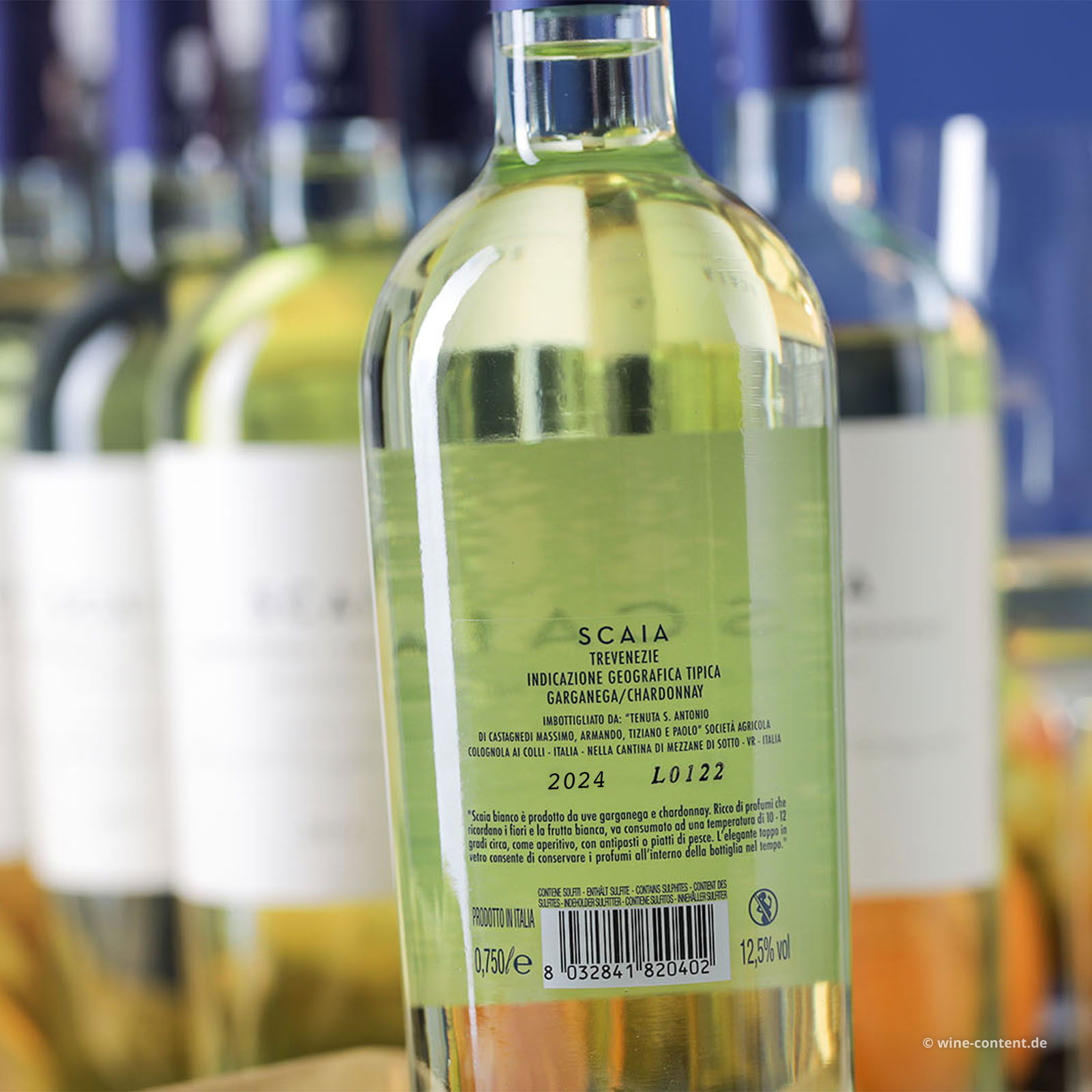 6er-Sparpaket Scaia Bianco 2024