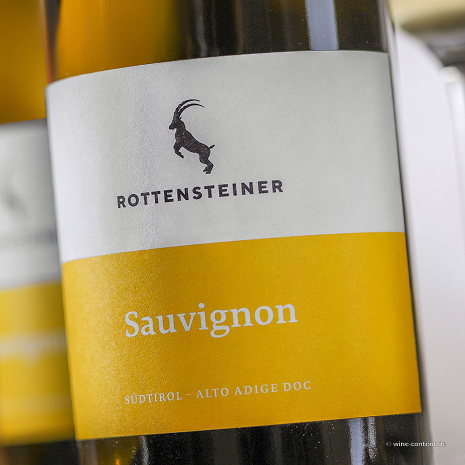 Sauvignon Blanc 2024