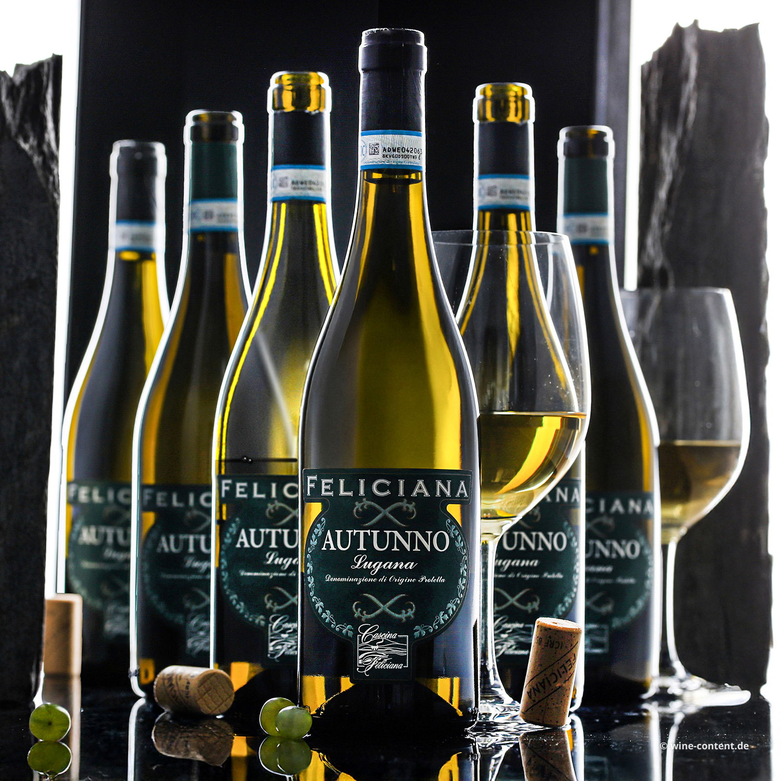 6er-Sparpaket Lugana 2024 Autunno