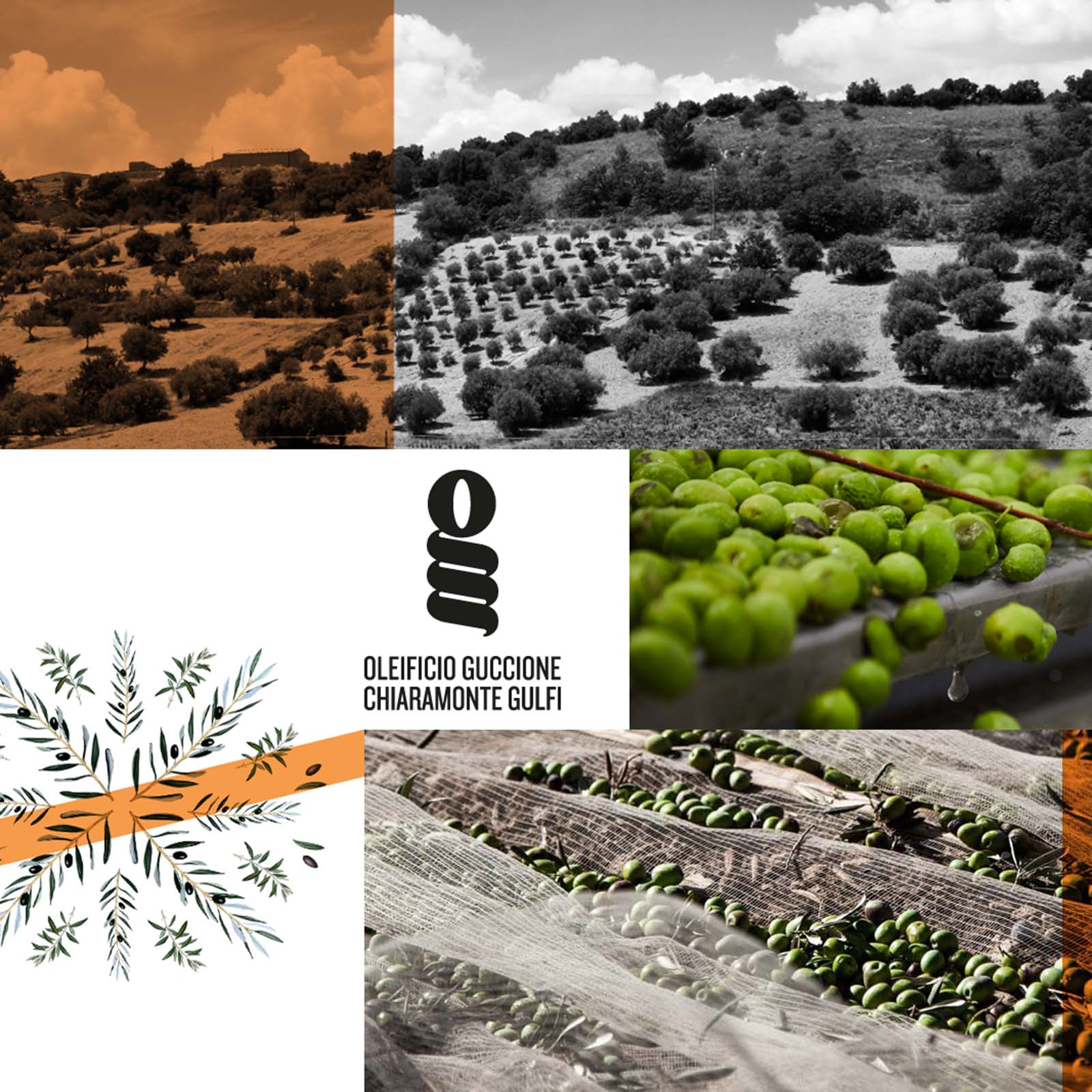 0,5 L Olivenöl Extra Vergine 2025 Zahara