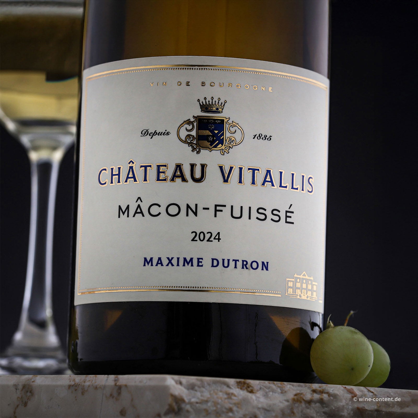 Mâcon-Fuissé 2024