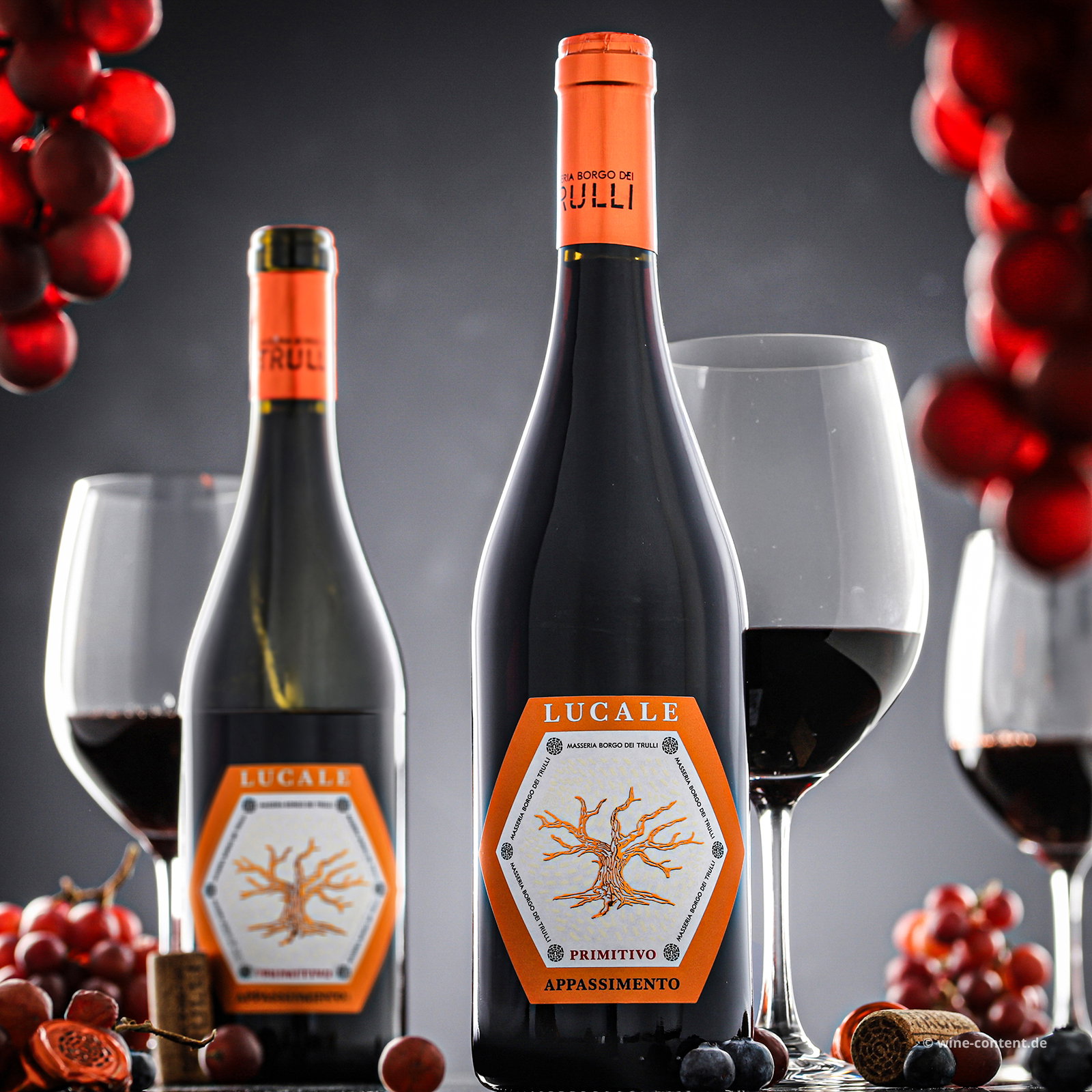 Primitivo Appassimento 2024 Lucale