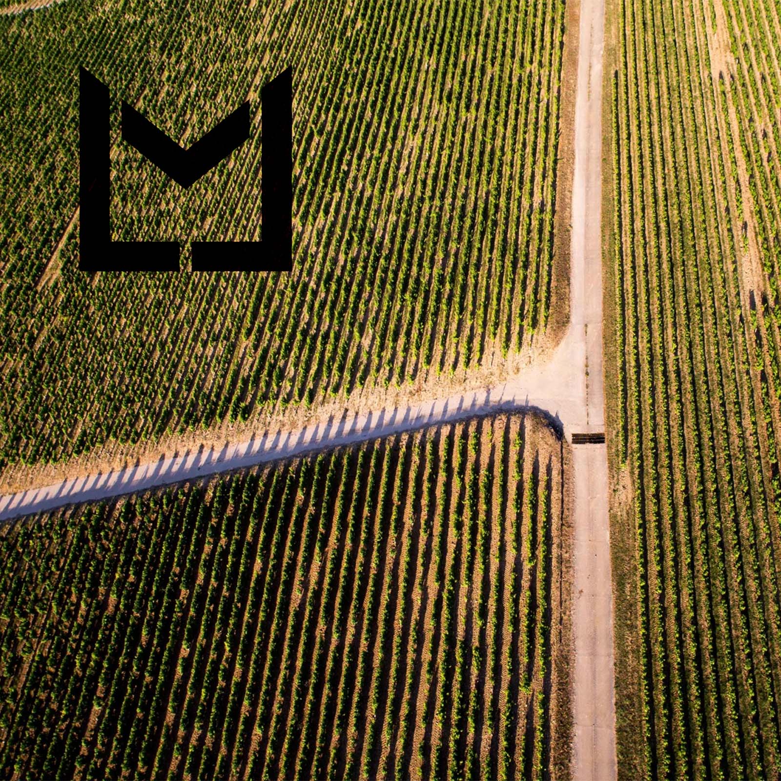 Methode Traditionnelle Blanc de Blanc Brut Methode Traditionnelle Blanc de Blanc Brut