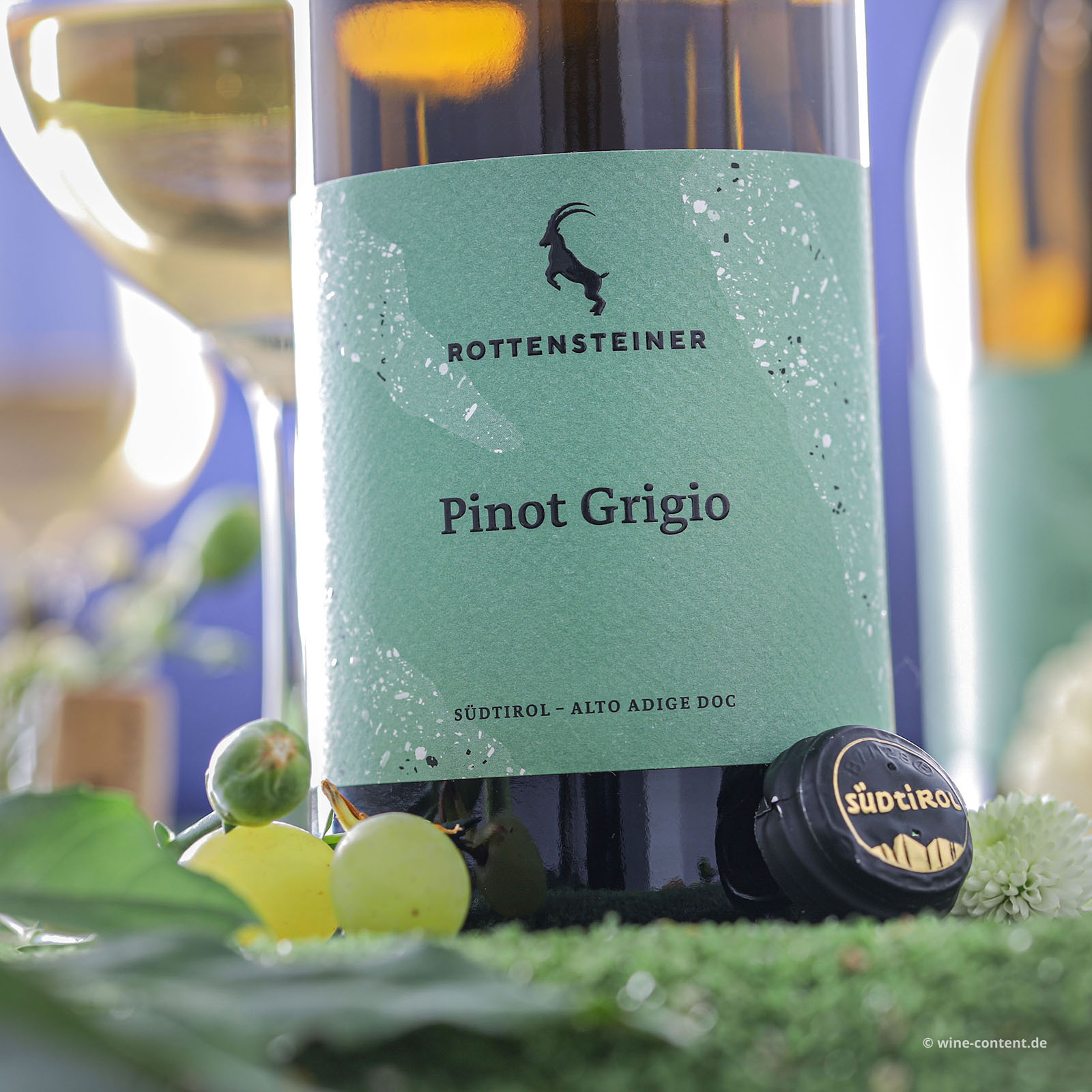 Pinot Grigio 2025