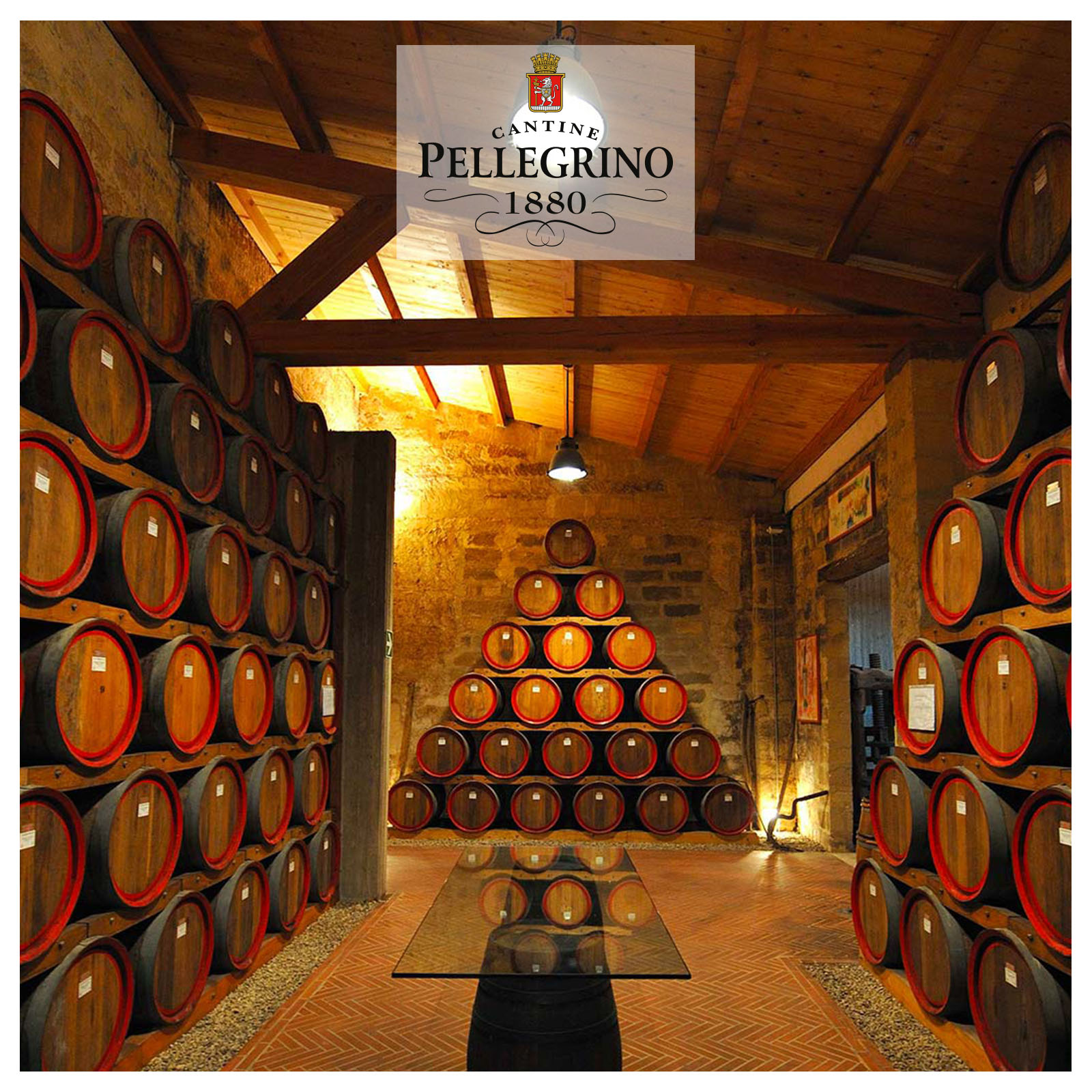 Grillo Sicilia 2026 Il Salinaro